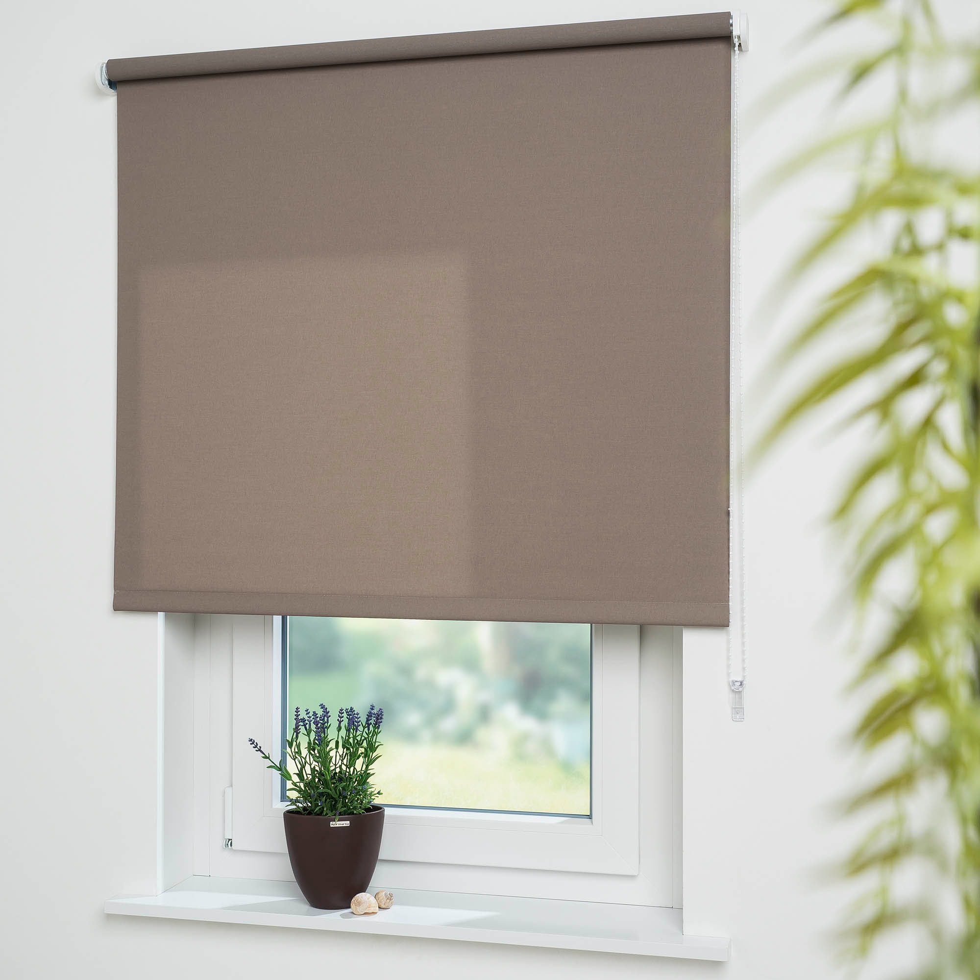 Liedeco Seitenzugrollo "Uni" Lichtschutz mit Bohren freihängend Montage ohn günstig online kaufen