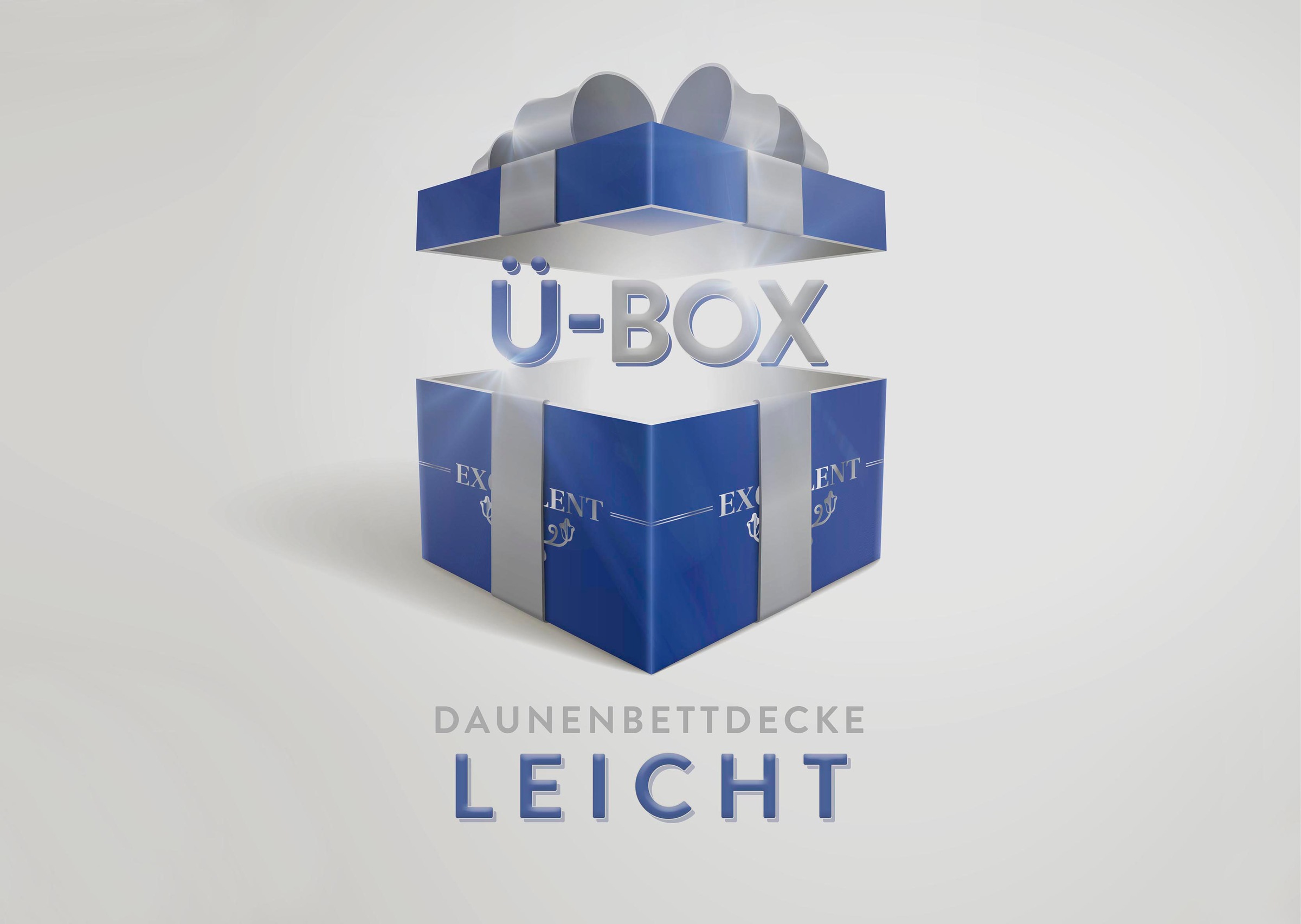 Excellent Daunenbettdecke »Überraschungsbox«, leicht, Füllung 90% Daunen, 1 günstig online kaufen