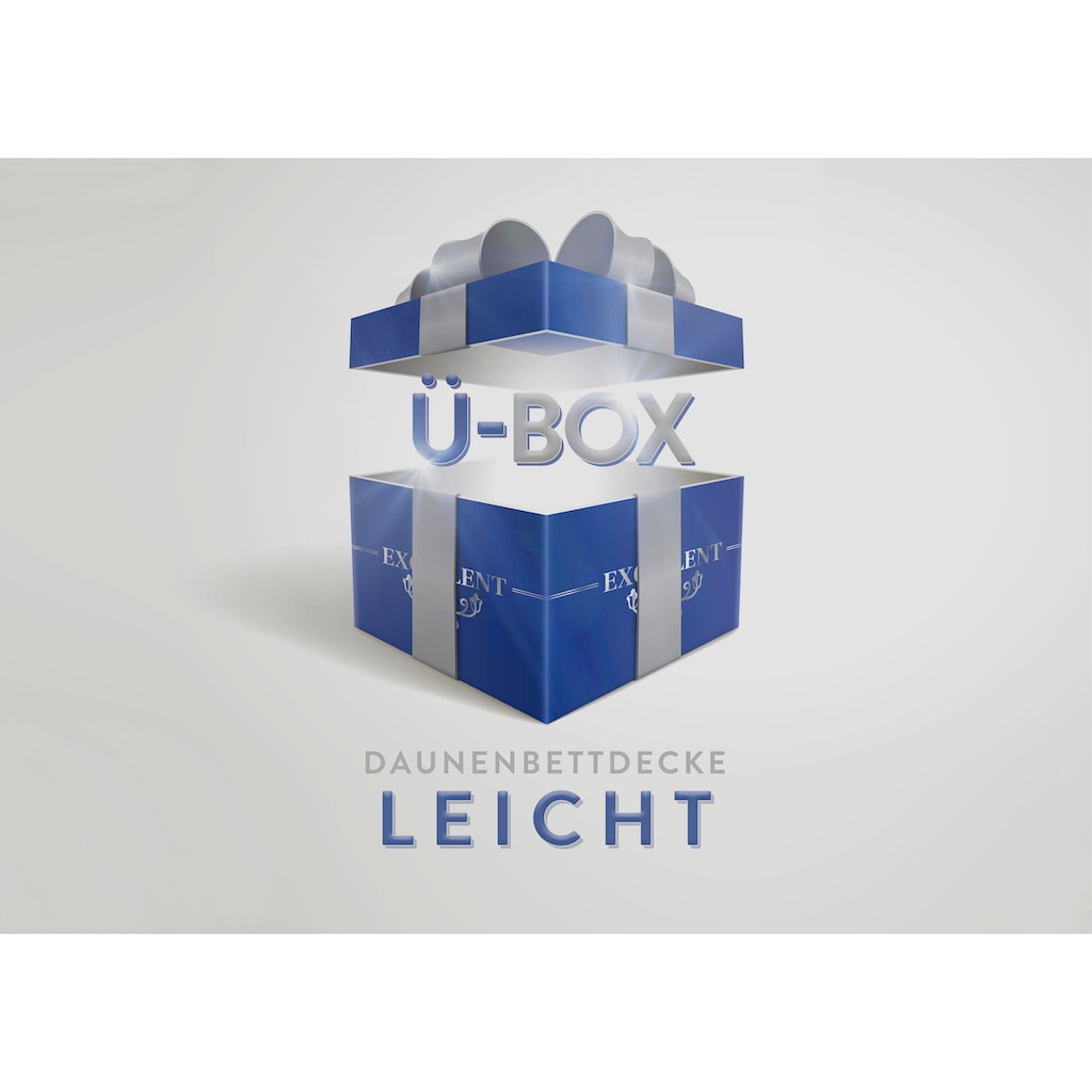 Excellent Daunenbettdecke »Überraschungsbox«, leicht, Füllung 90% Daunen, 10% Federn, Bezug Baumwolle, (1 St.), absoluter Sonderpreis, wegen Lagerräumung, Solange der Vorrat reicht