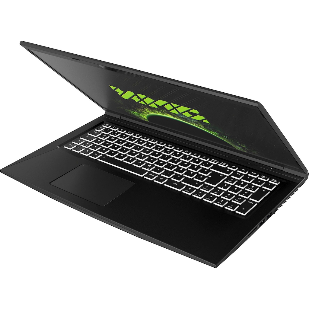 XMG Notebook »CORE 17 - M21sjn«, 43,94 cm, / 17,3 Zoll, Intel, Core i7, GeForce RTX 3060, 1000 GB SSD