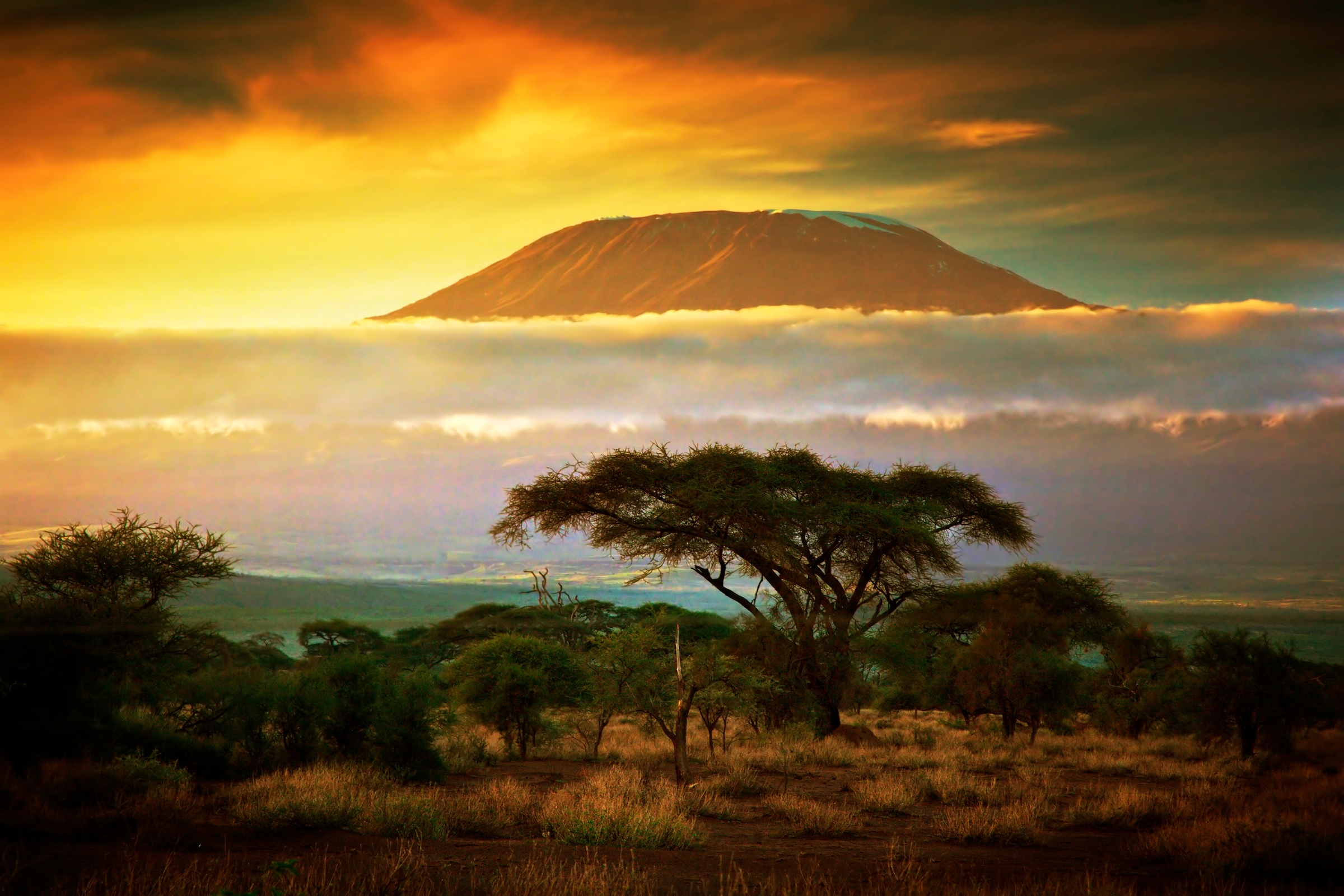 Papermoon Fototapete »Mount Kilimanjaro and Clouds« glatt günstig online kaufen