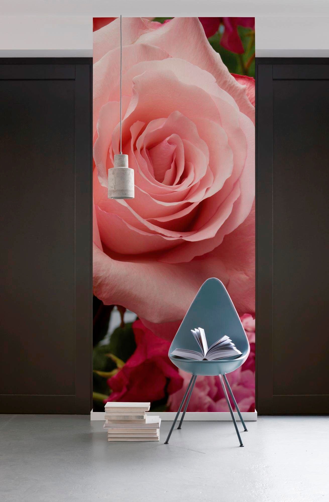 Komar Vliestapete »Digitaldruck Vlies -  Rosenduft - Größe 100 x 280 cm« bedruckt glatt Wohnzimmer, Schlafzimmer