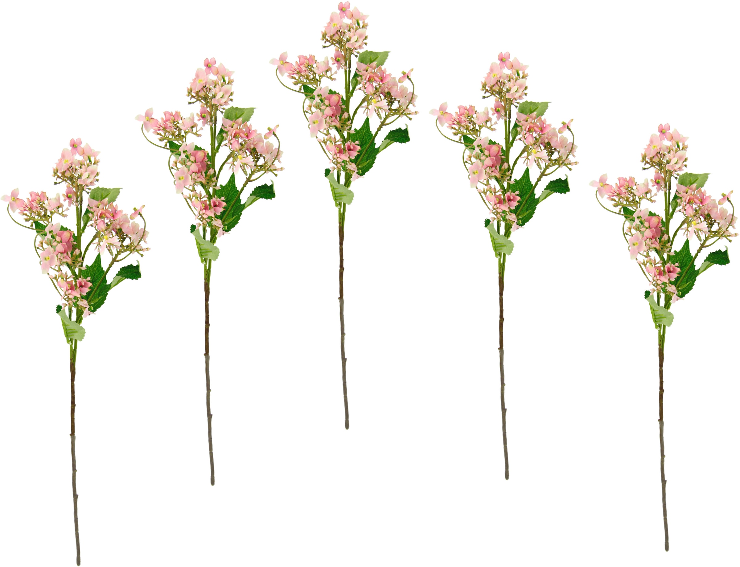 Kunstpflanze, online »Blütenzweig«, Dekozweig künstlicher I.GE.A. 5er Kunstblume Zweig, bestellen Set