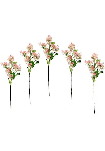 I.GE.A. Kunstblume »Blütenzweig«, (5 St.), 5er Set künstlicher Zweig, Kunstpflanze,... kaufen