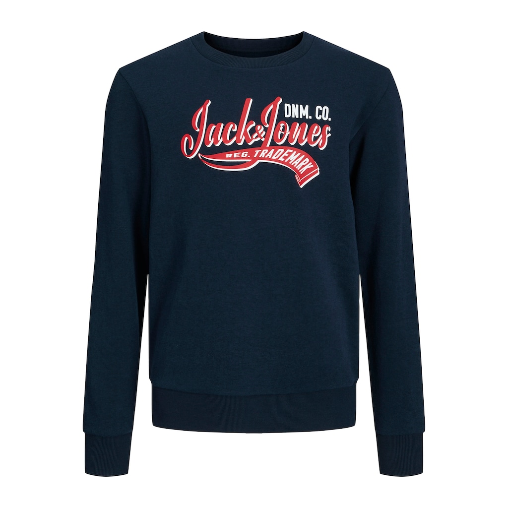 Jack & Jones Junior Sweatshirt »JJELOGO SWEAT CREW NECK 2 COL SS24 JNR«