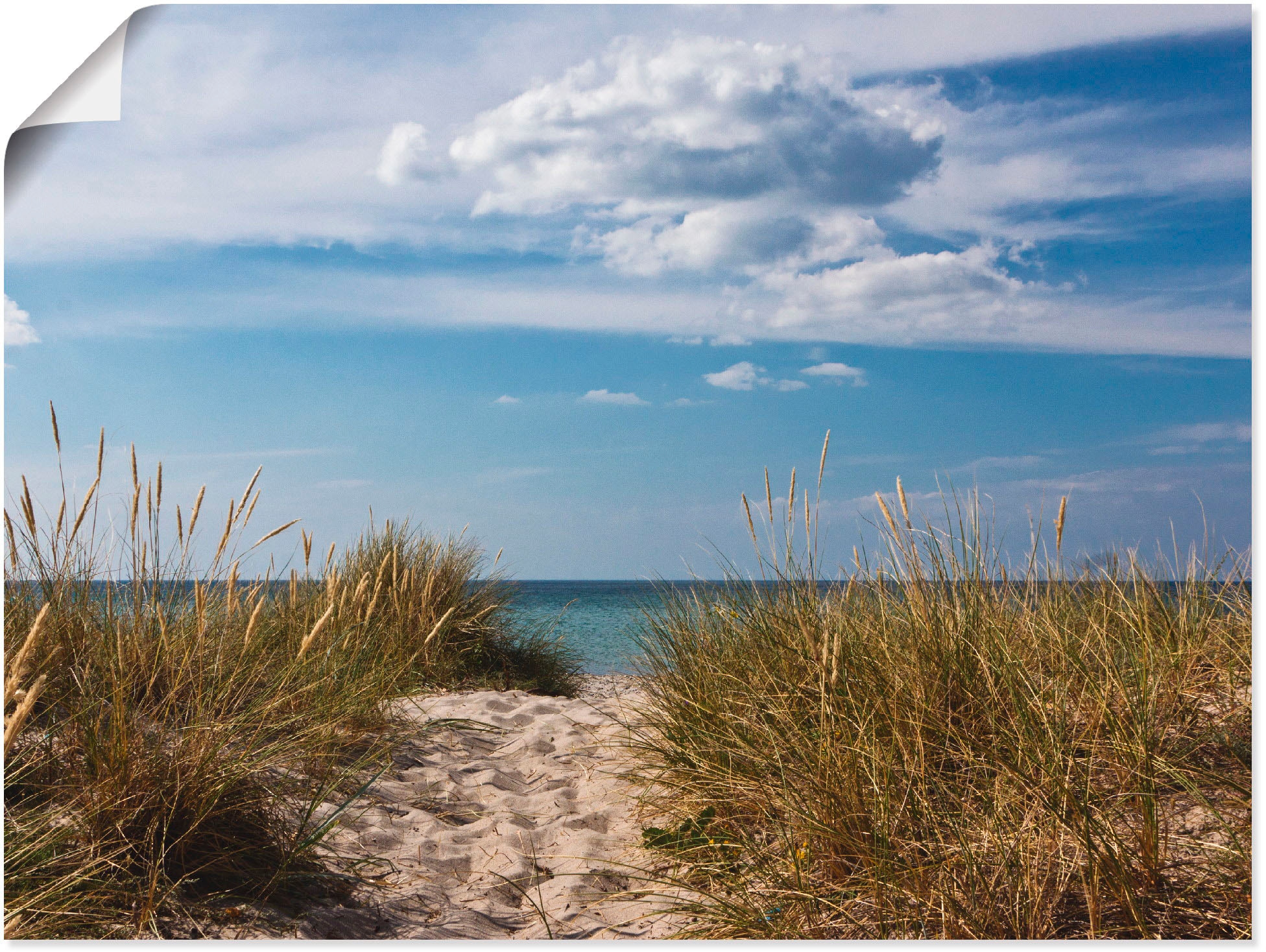 Artland Wandbild »Ostseestrand in Dänemark«, Strand, (1 St.), als Leinwandb günstig online kaufen