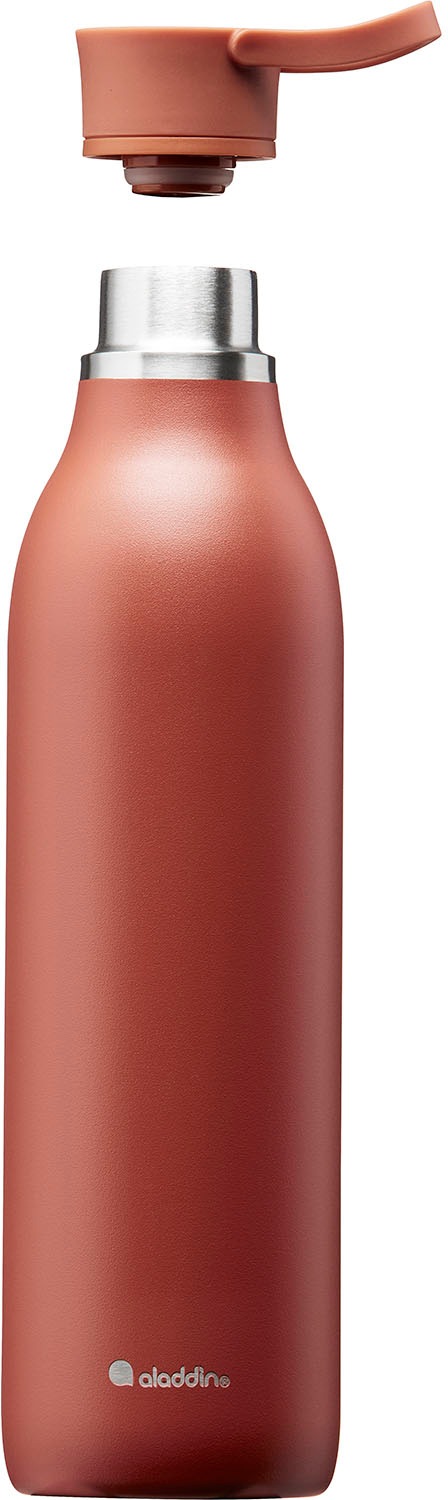 aladdin Trinkflasche »City Loop« Edelstahl, 600 ml
