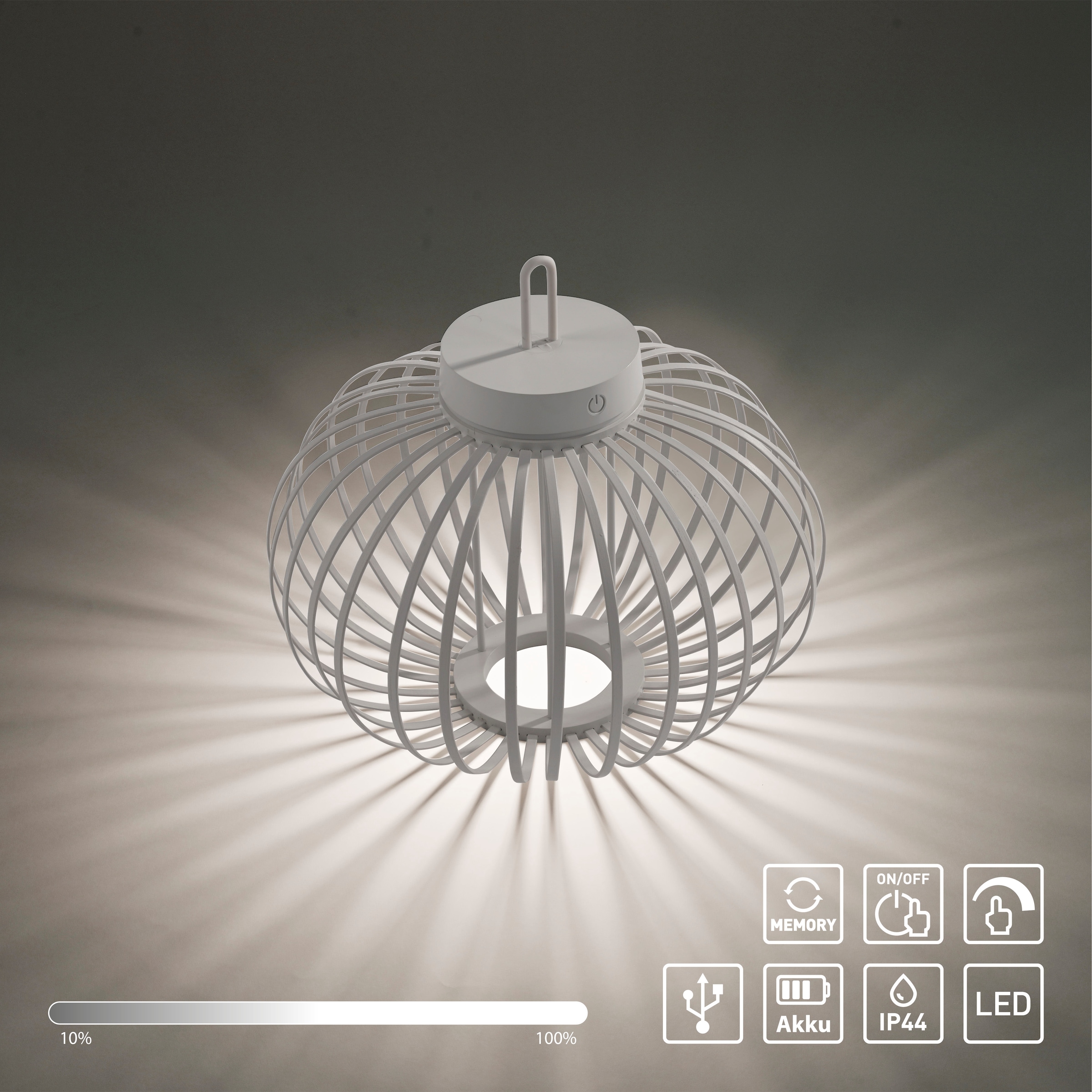 JUST LIGHT Pendelleuchte »AKUBA«, 1 flammig, Leuchtmittel LED-Modul | LED fest integriert, Akkuleuchte