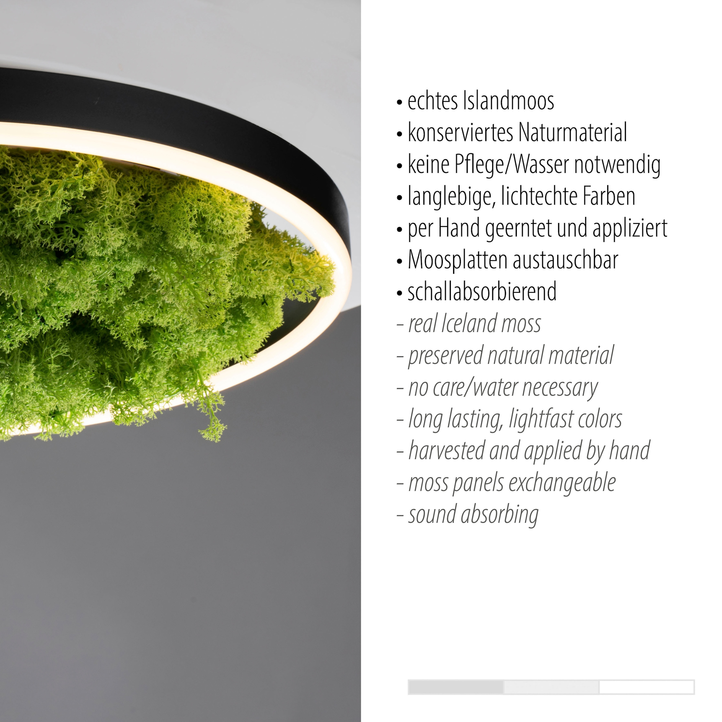 JUST LIGHT Deckenleuchte »GREEN RITU«, 1 flammig, Leuchtmittel LED-Board | LED fest integriert