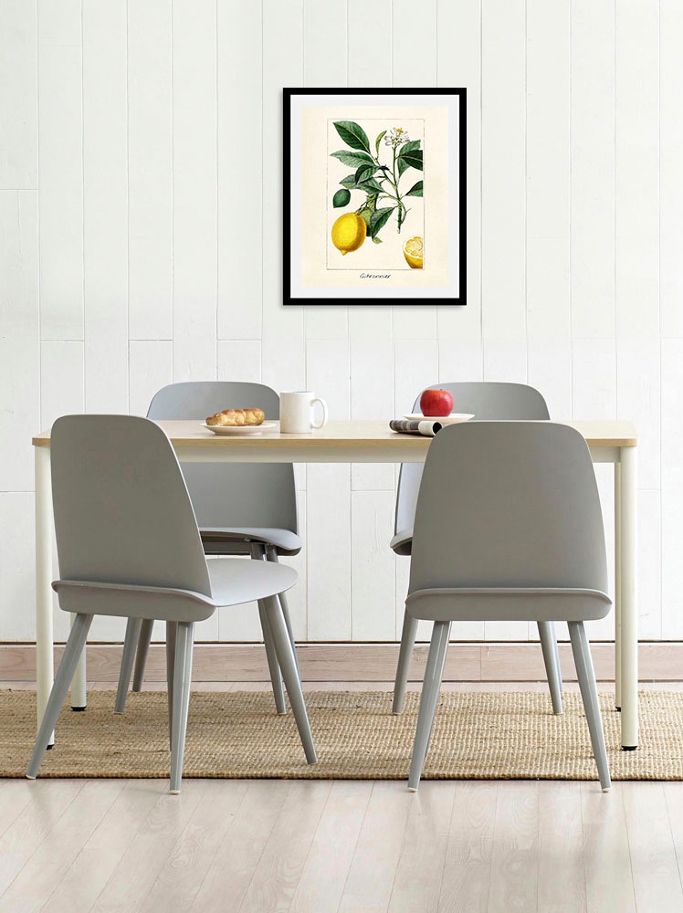 queence Bild »Citronnier«, Obst-Obst Bilder-Essen-Lebensmittel-Kunst-Schrif günstig online kaufen
