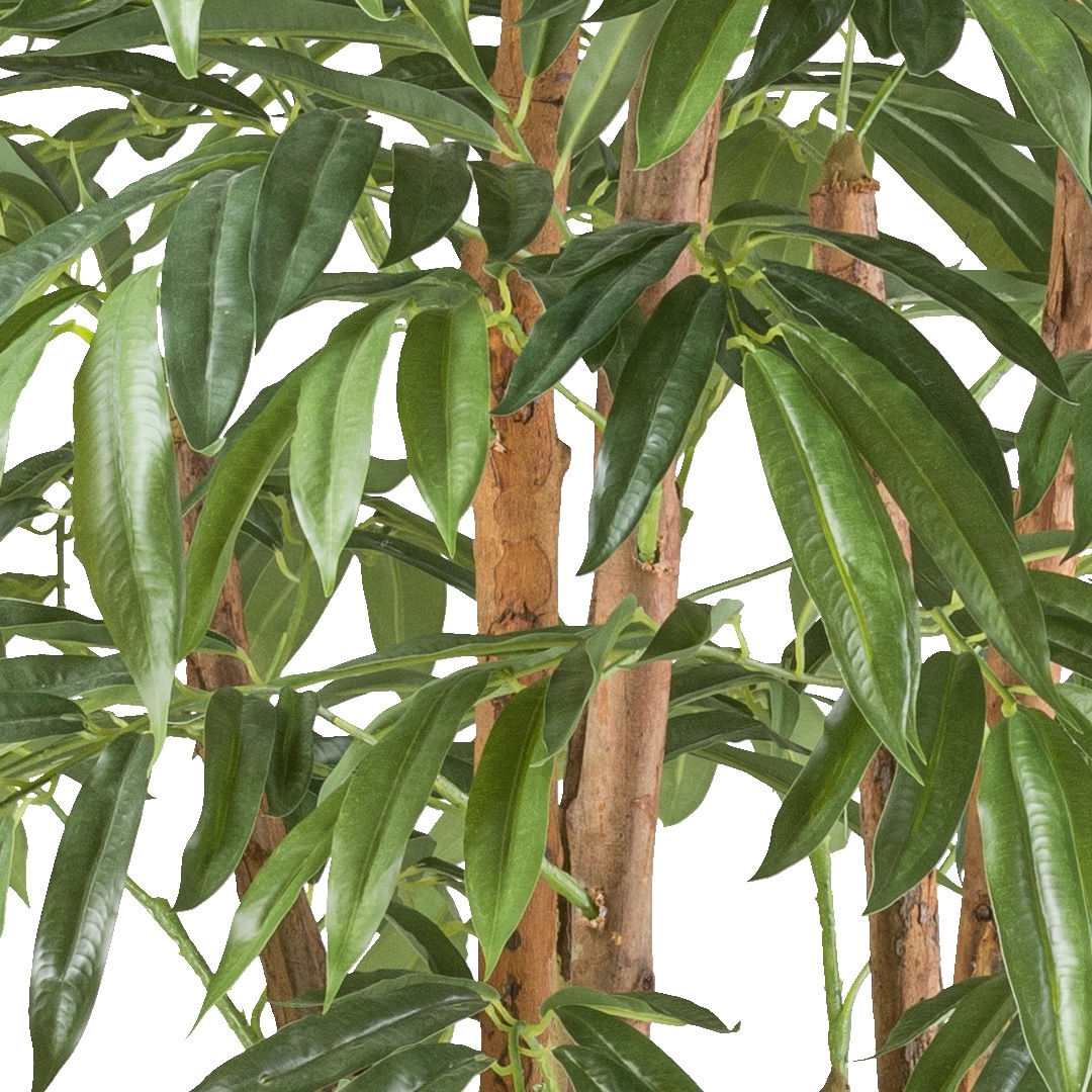 Creativ green Kunstpflanze »Ficus longifolia«, mit Naturstamm