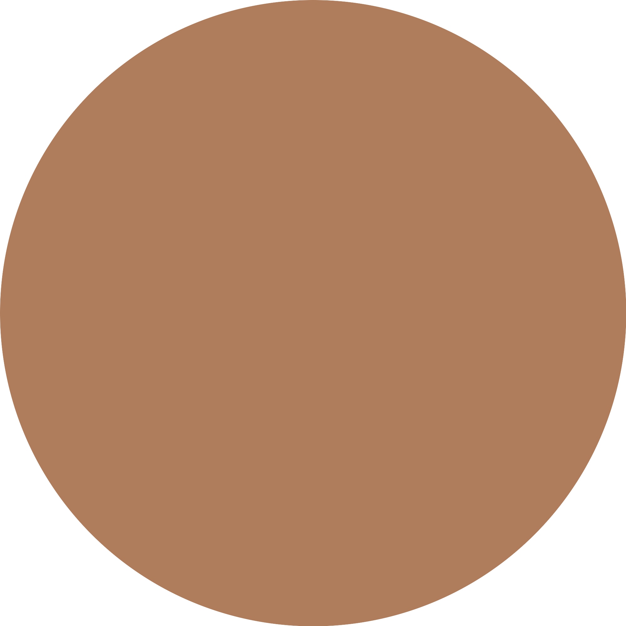 Catrice Foundation »Invisible Cover Cushion Foundation«
