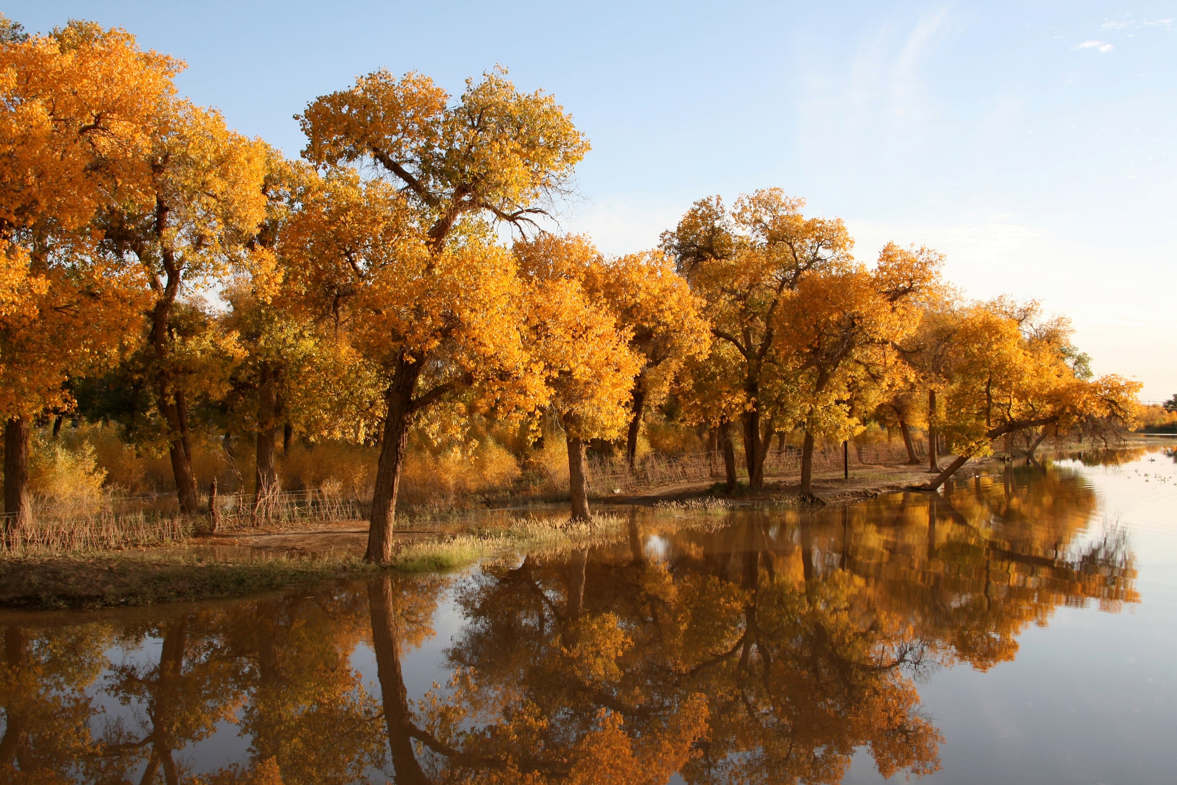 Papermoon Fototapete »HERBST LANDSCHAFT-CHINA SEE WALD BÄUME STRAND SONNE« günstig online kaufen