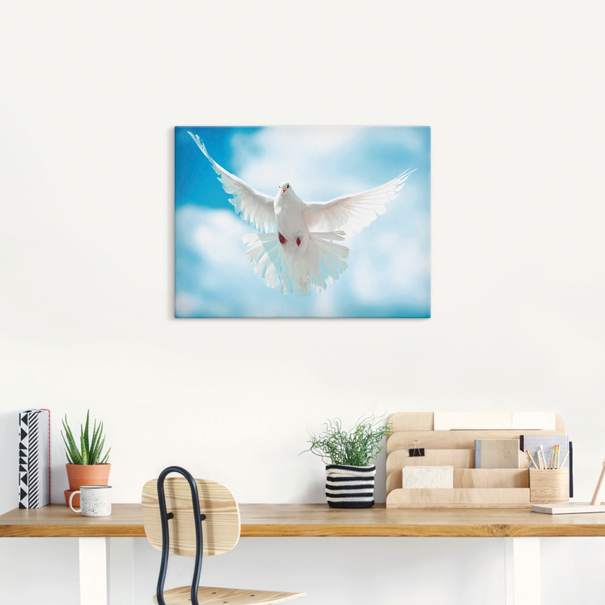 Artland Wandbild »Taube mit ausgebreiteten Flügeln«, Vögel, (1 St.), als Alubild, Outdoorbild, Leinwandbild, Poster in verschied. Größen