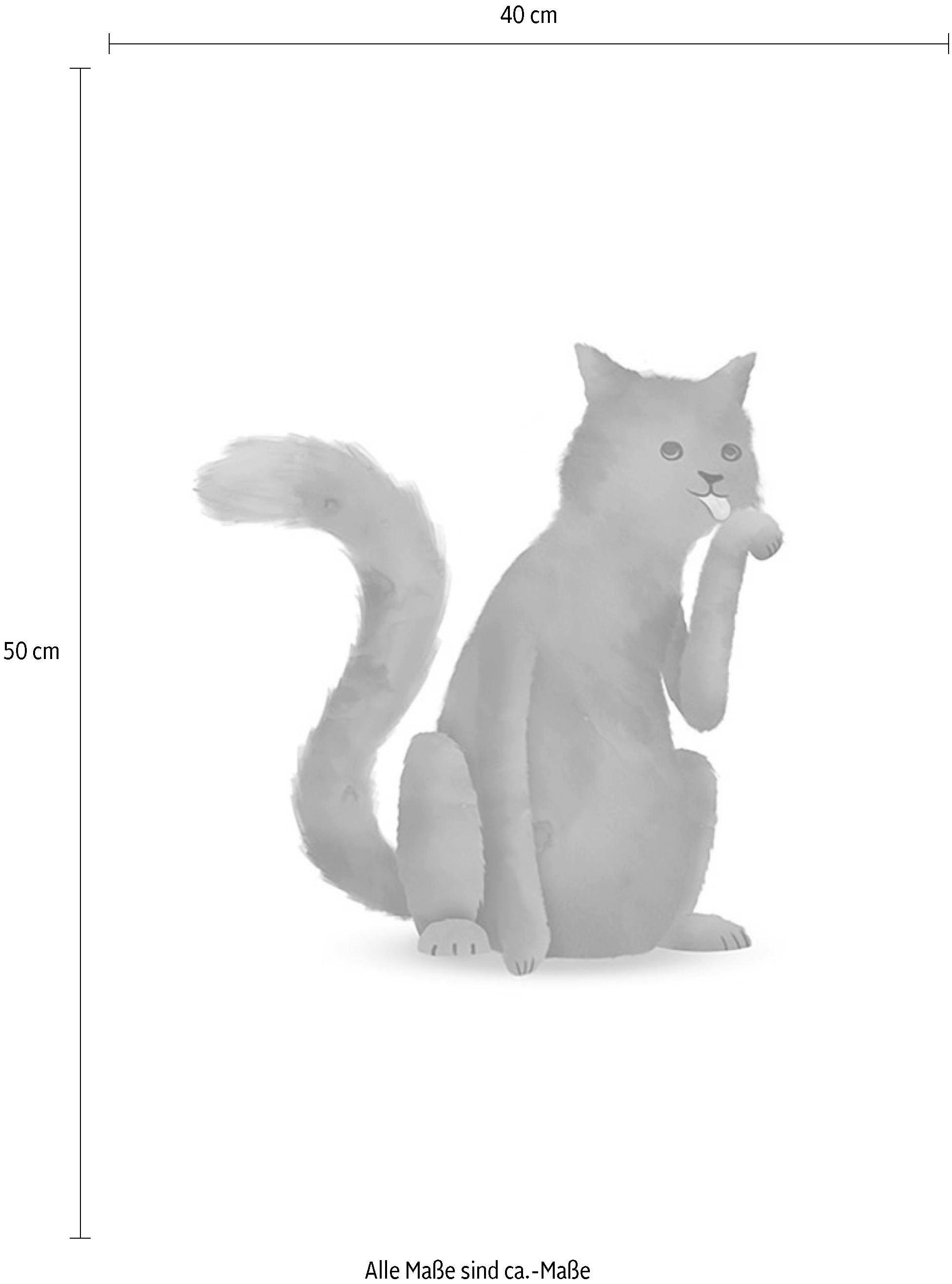 Komar Bild »Cute Animal Cat«, Tiere, (1 St.), Wandbild zur Dekoration - ohne Rahmen