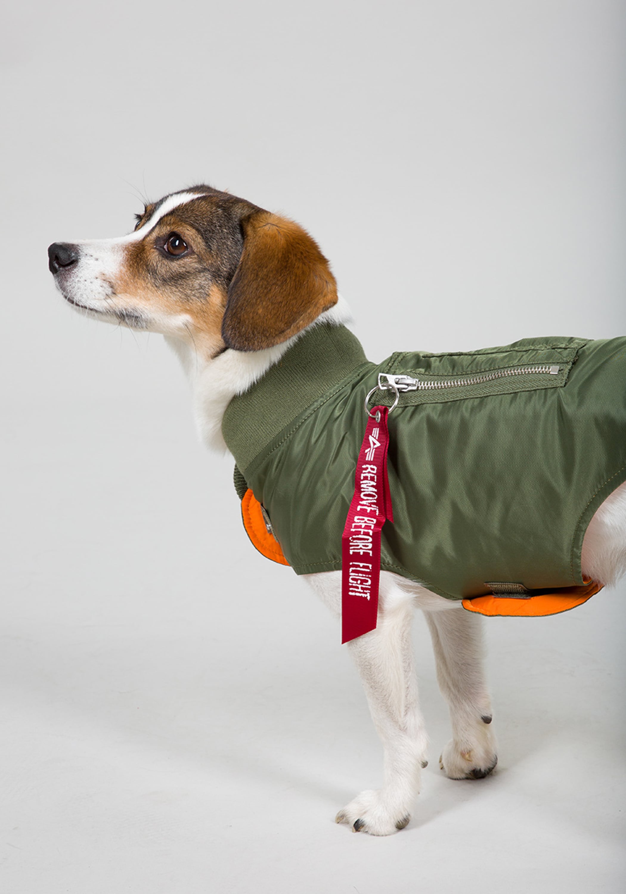 Alpha Industries Hundejacke »Alpha Industries Accessoires - Dog Accessories«