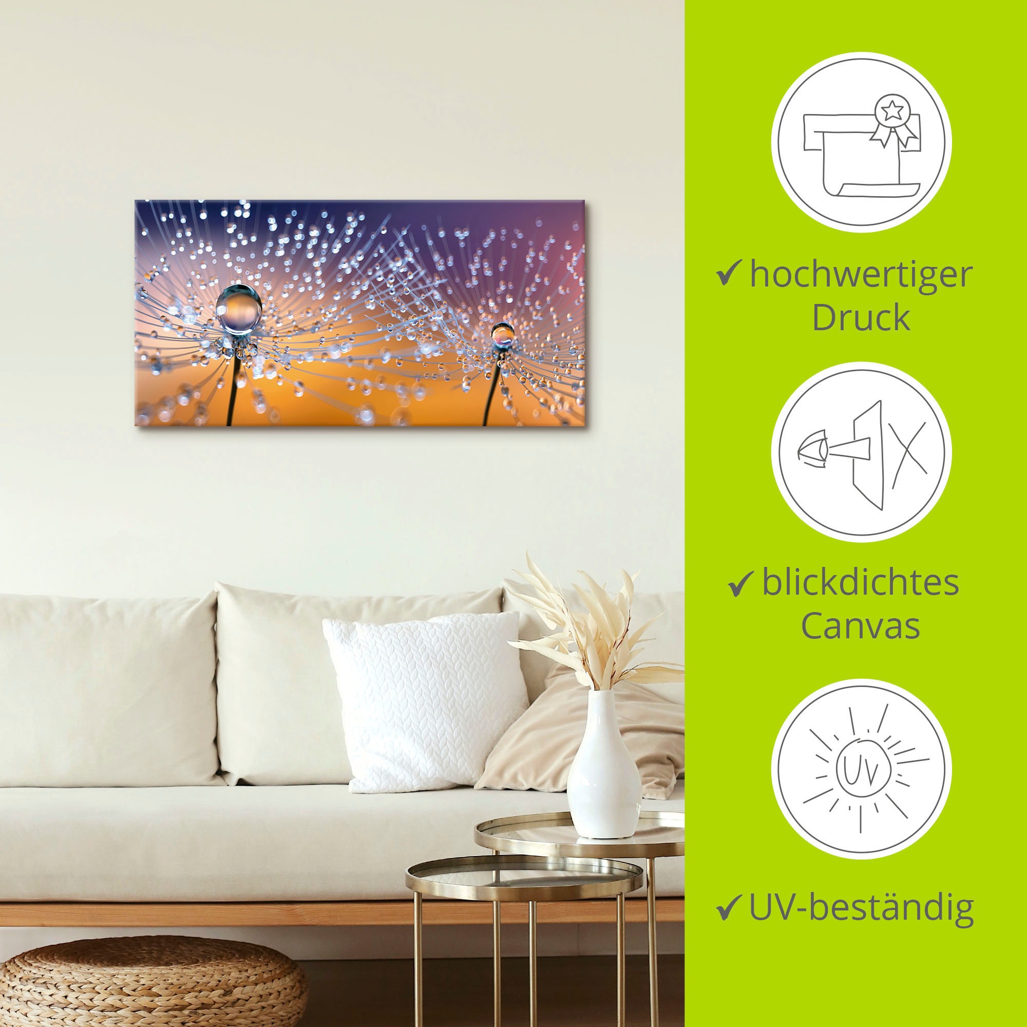 Artland Wandbild »Pusteblumen Tautropfen«, Blumenbilder, (1 St.), als Alubild, Outdoorbild, Leinwandbild, Poster, Wandaufkleber