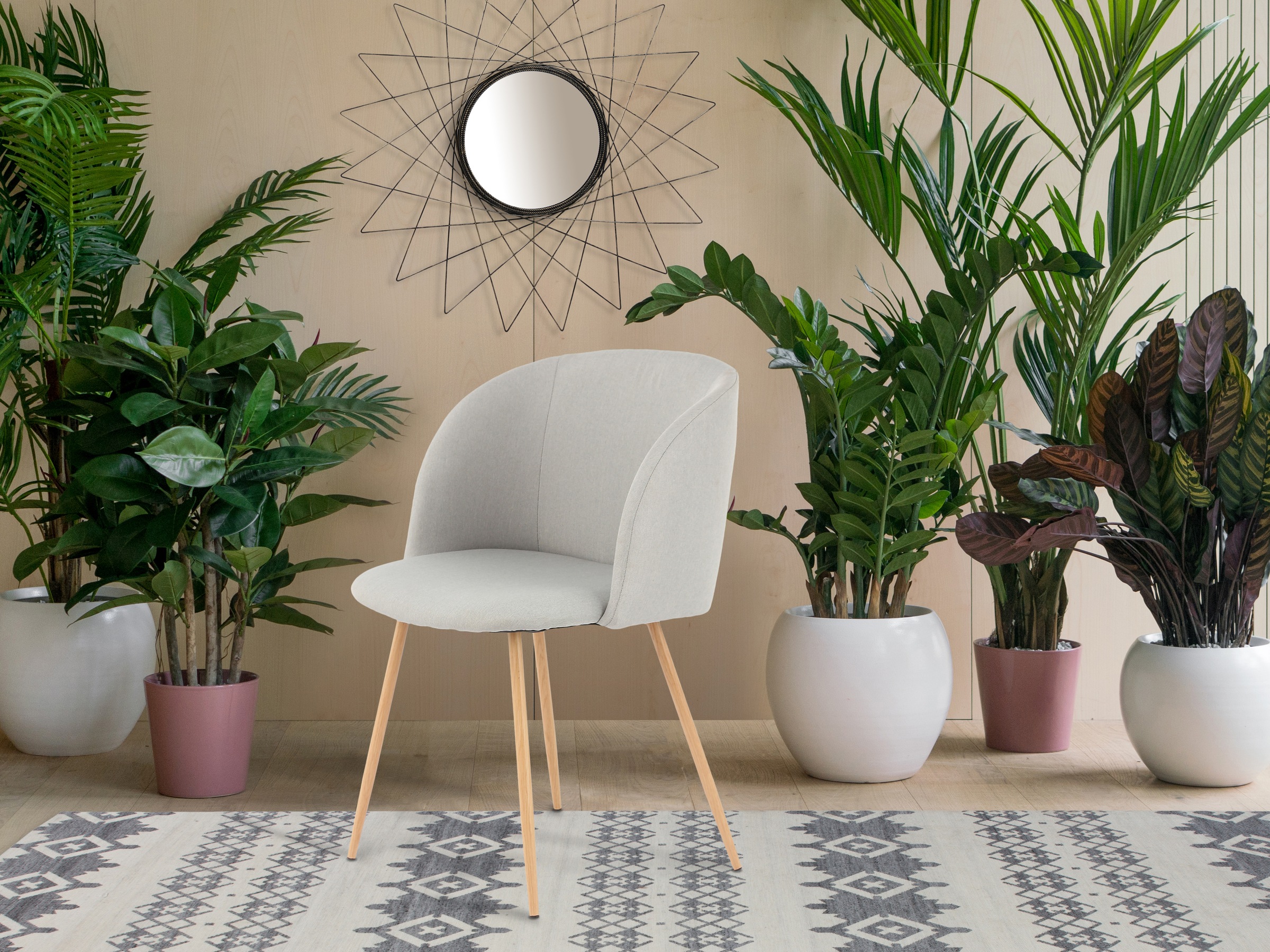 Kayoom Polsterstuhl »Stuhl Celina 110 2er-Set Grau,samtweicher Bezug in mod günstig online kaufen