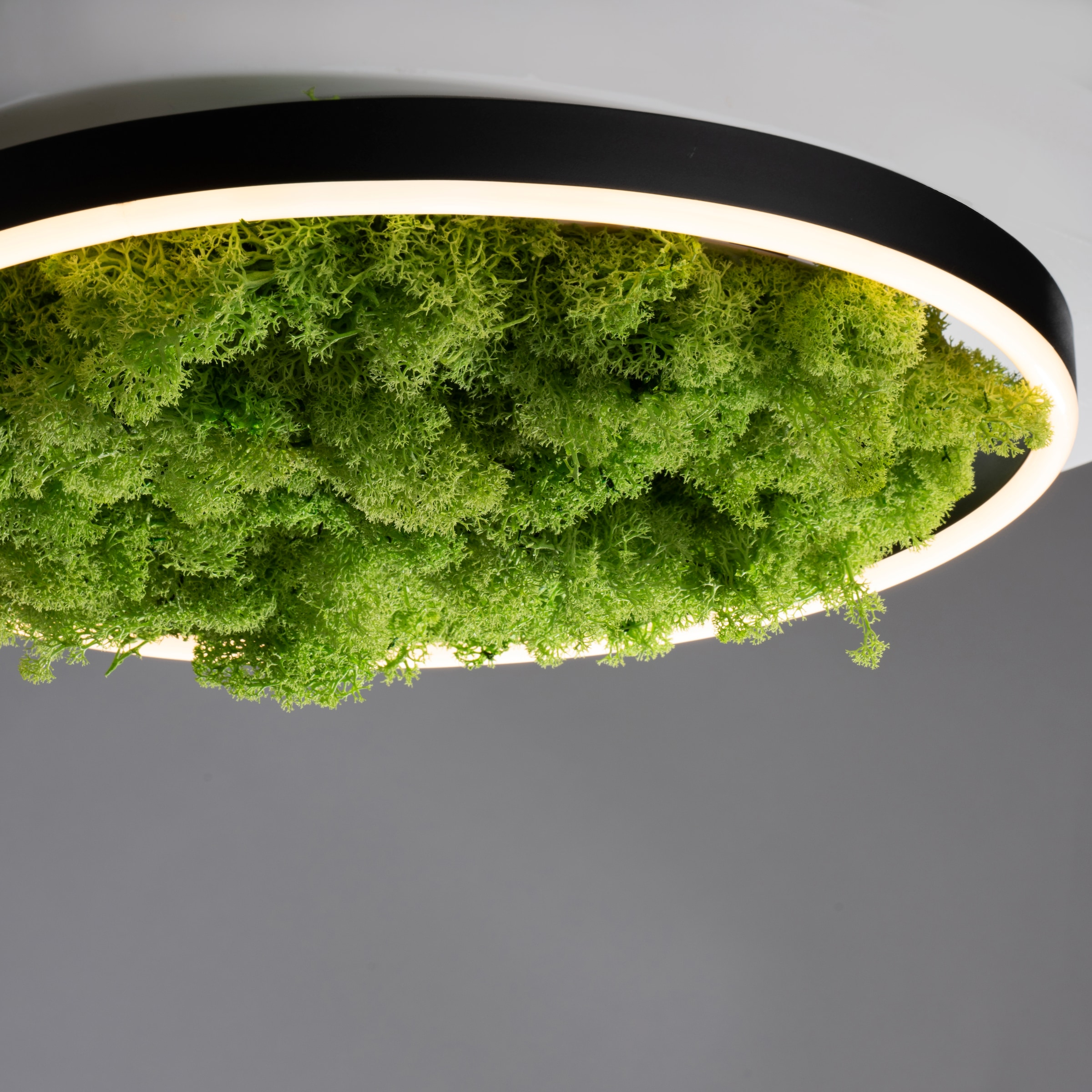 JUST LIGHT Deckenleuchte »GREEN RITU«, 1 flammig, Leuchtmittel LED-Board | LED fest integriert