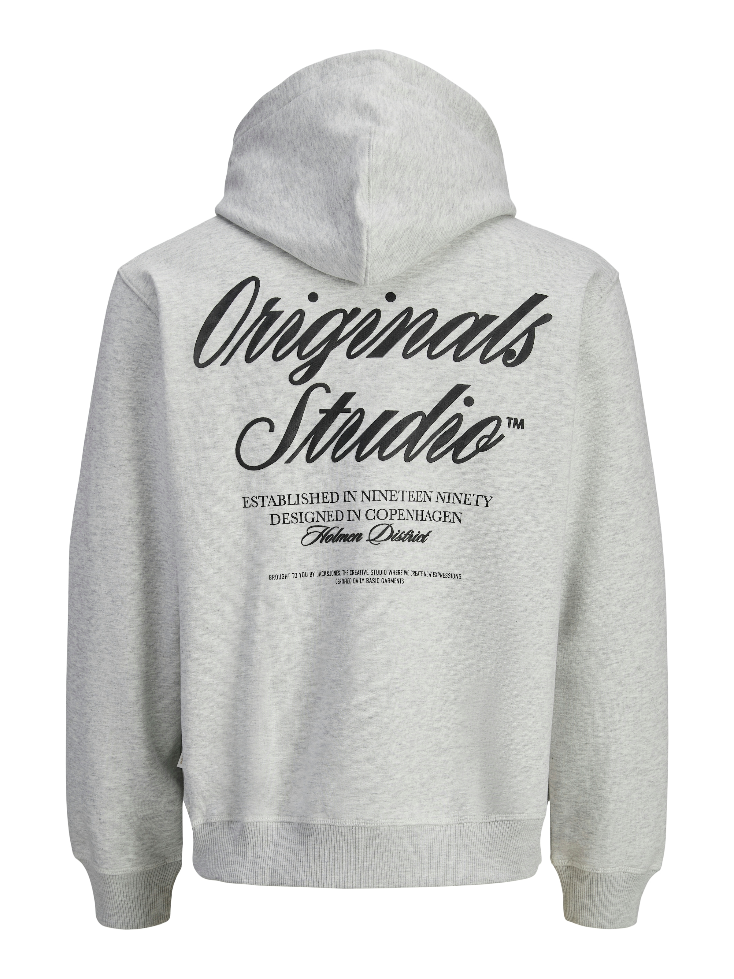 Jack & Jones Kapuzensweatshirt »JORNORREBRO TYPO BACK SWEAT HOOD SN«