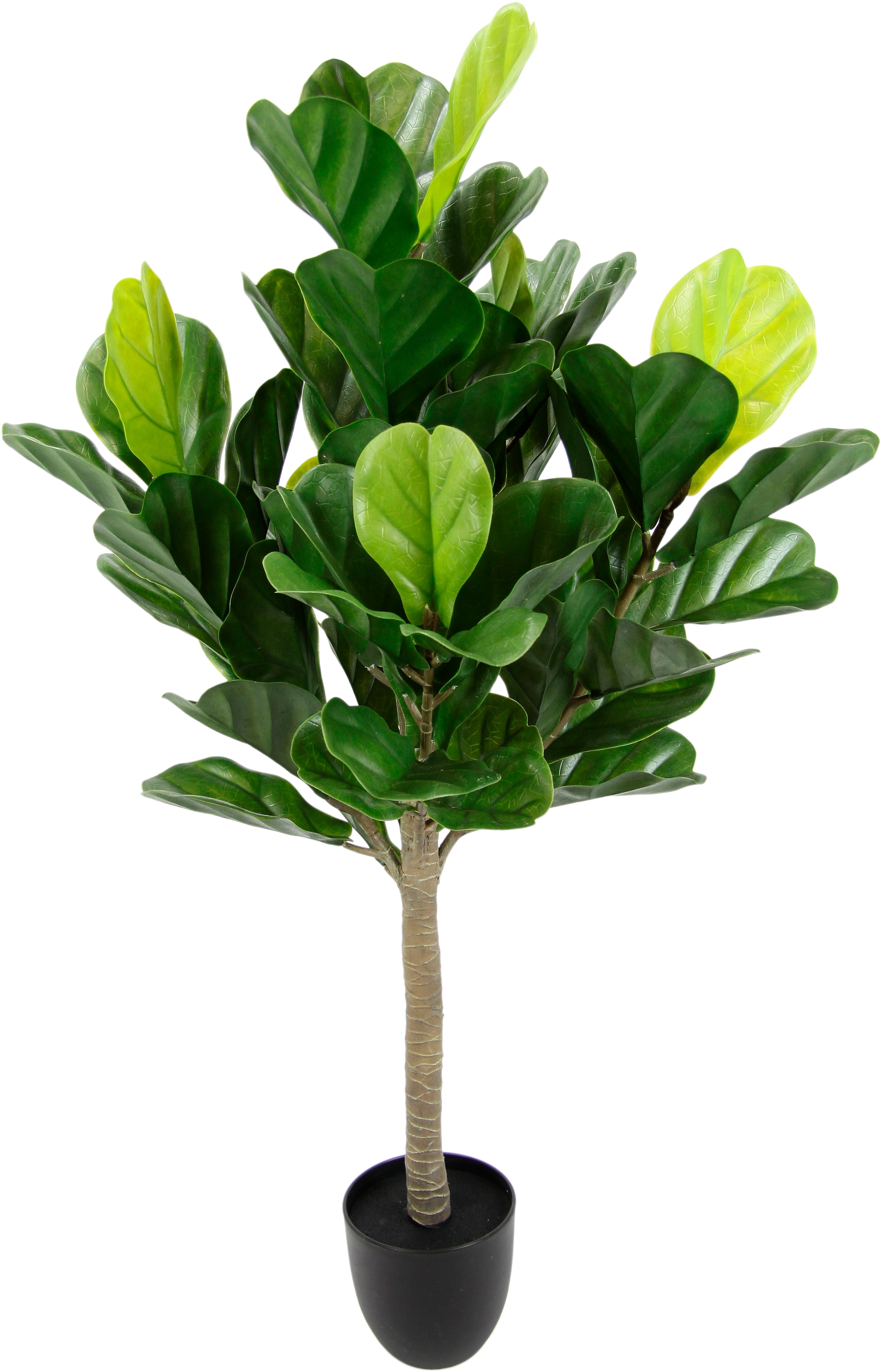 I.Ge.A. Kunstbaum "Tabakbaum im Topf künstlich Geigenblatt Feigenbaum Feigenblattpflanze", grün, B/H/L: 46cm x 98cm x 46cm, 1 Stk.