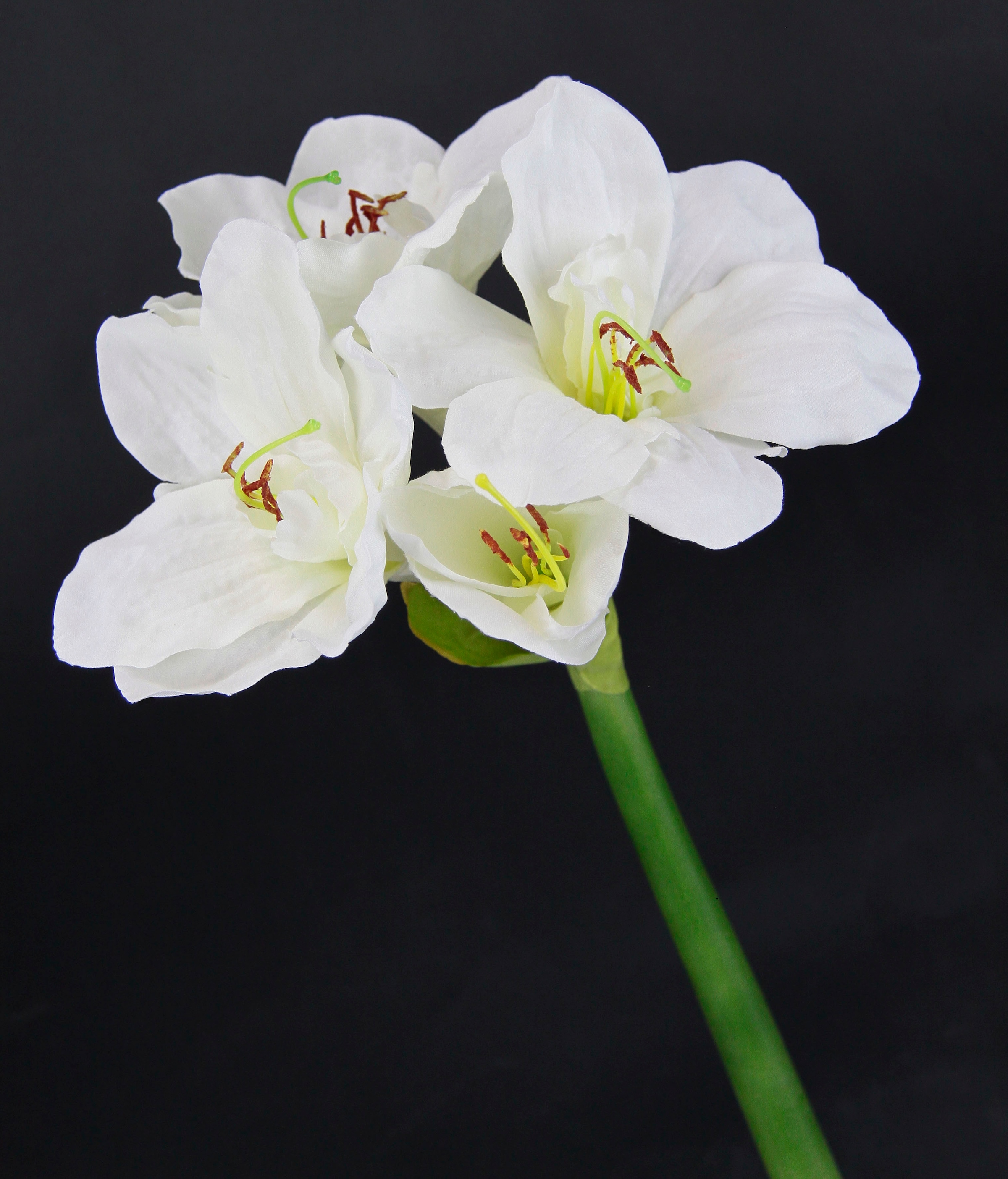 I.GE.A. Kunstblume »Amaryllis«, Kunst-Stielblume, 3er Set