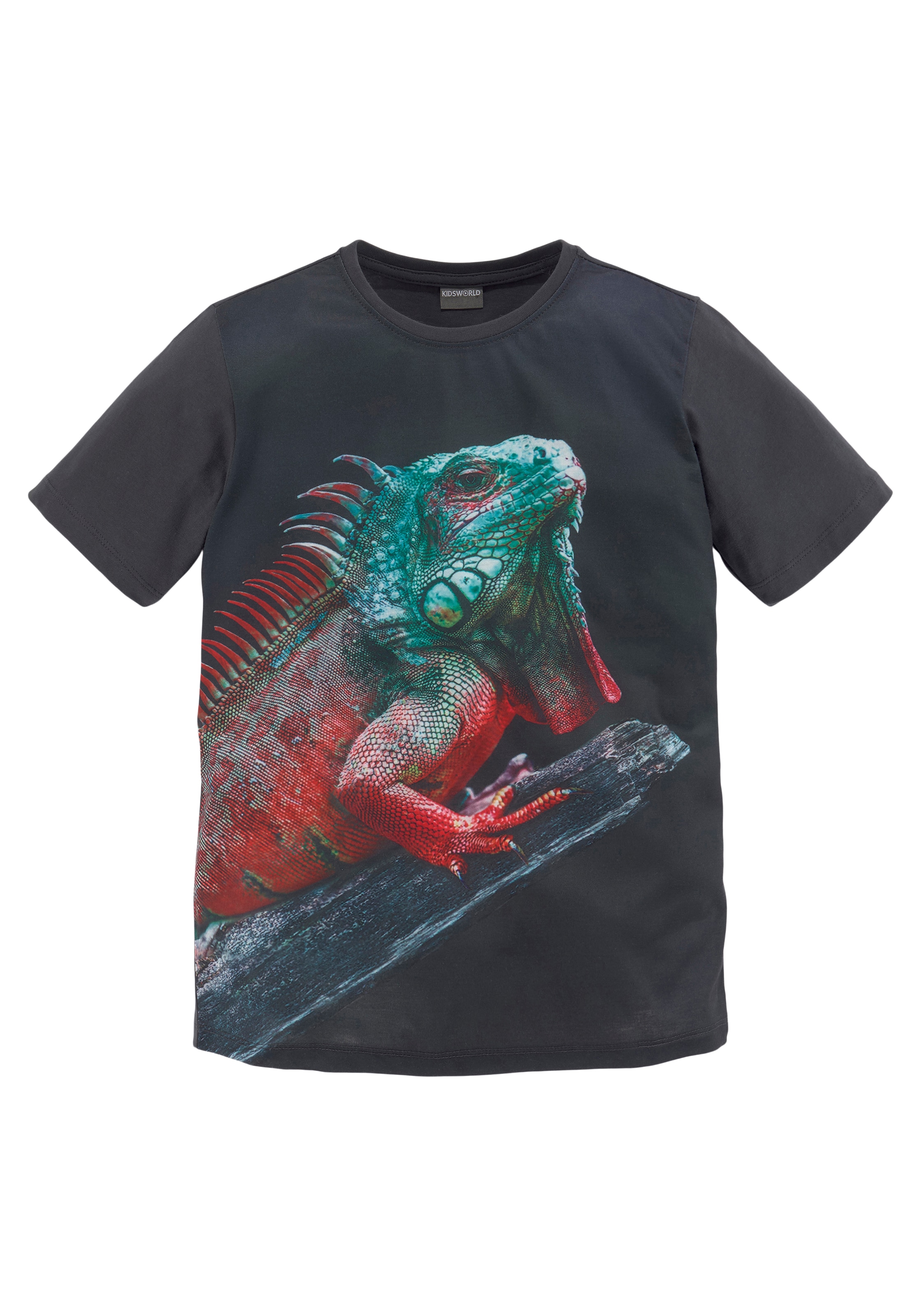 KIDSWORLD T-Shirt »LITTLE LIZARD«, Fotodruck im Online-Shop bestellen
