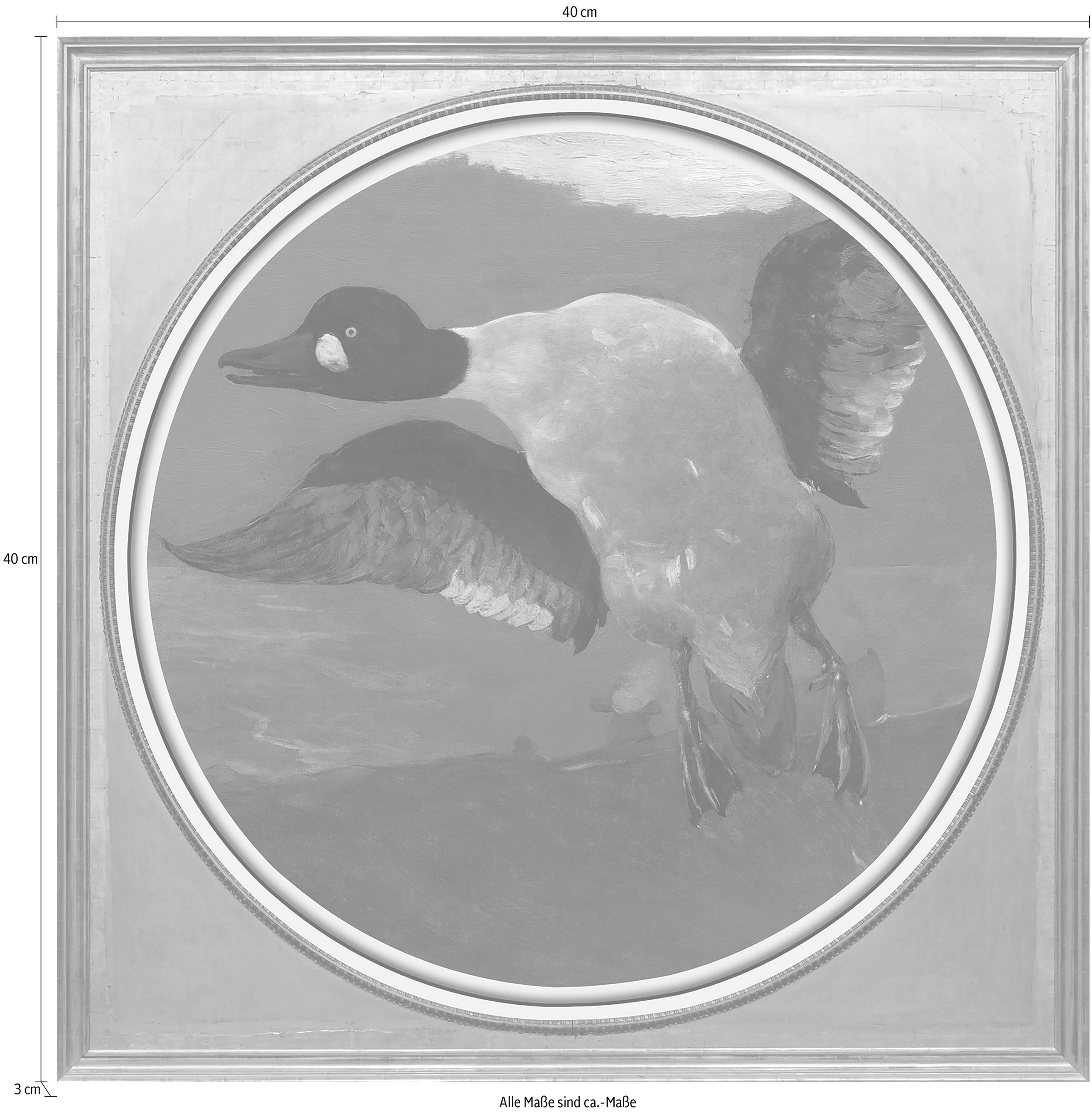 queence Acrylglasbild »Gans«, Kunst-Vögel-Vogelbilder-Ente-Enten-Gemälde, Fine Art-Print in Galeriequalität