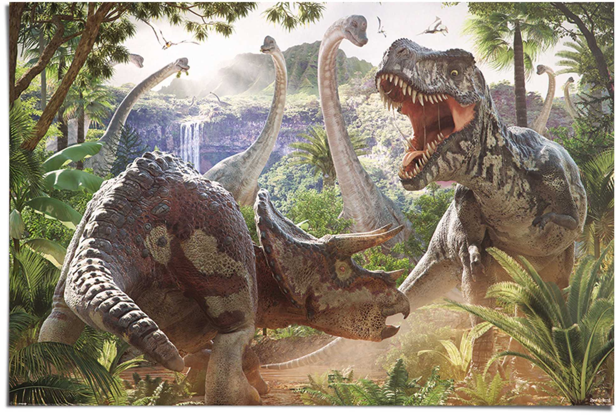 Reinders! Poster Dinosaurier«, Kampf bestellen (1 der St.) Dinosaurier, online »Poster