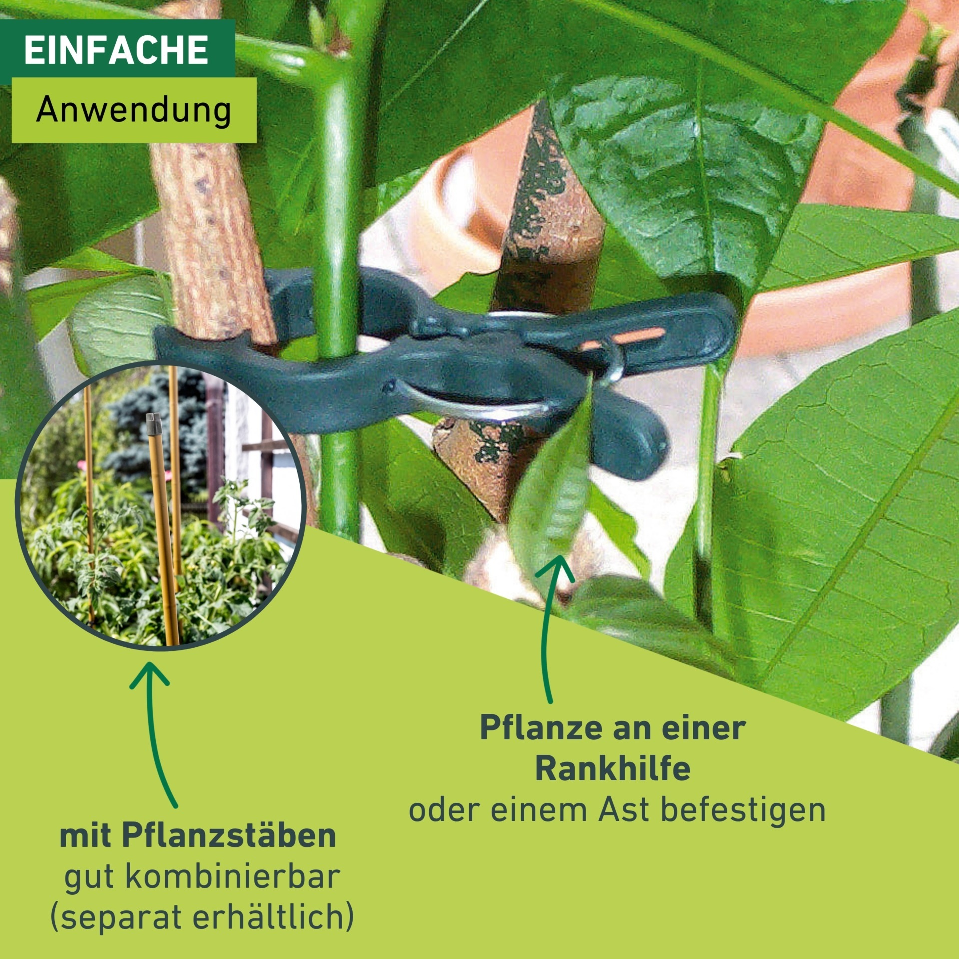 Windhager Rankhilfe »Pflanzenclips Fix zum befestigen von Ästen, Pflanzklammern 12 Stk.« Pflanzenhalter 7,5 x 5 cm, grün