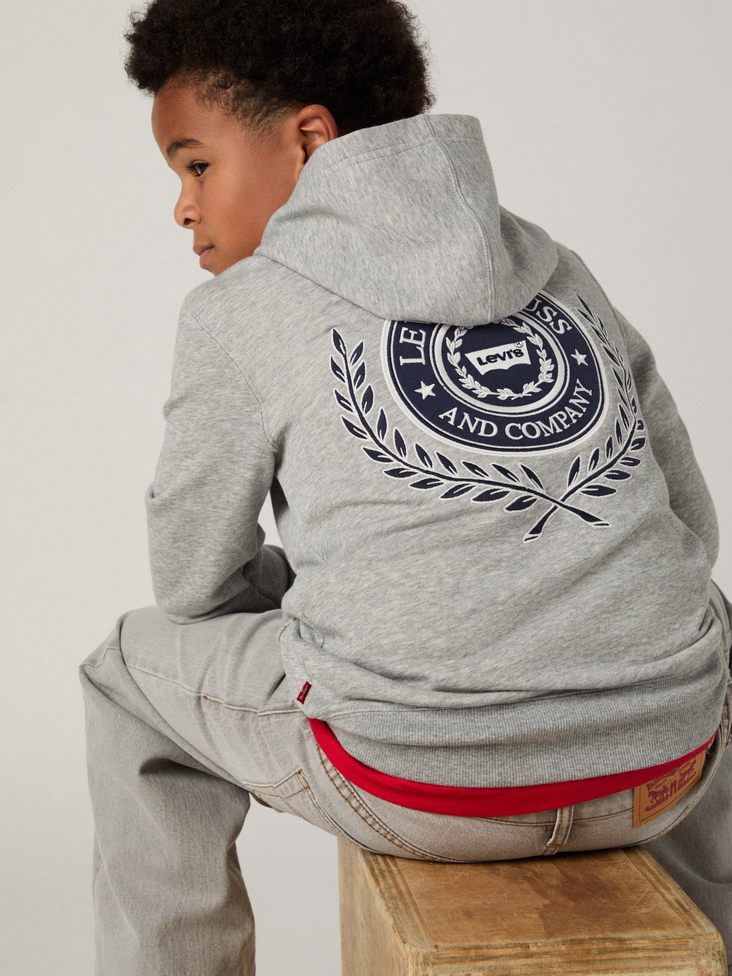 Levi's® Kids Kapuzensweatshirt »LVB MODERN CREST HOODIE«, for Boys
