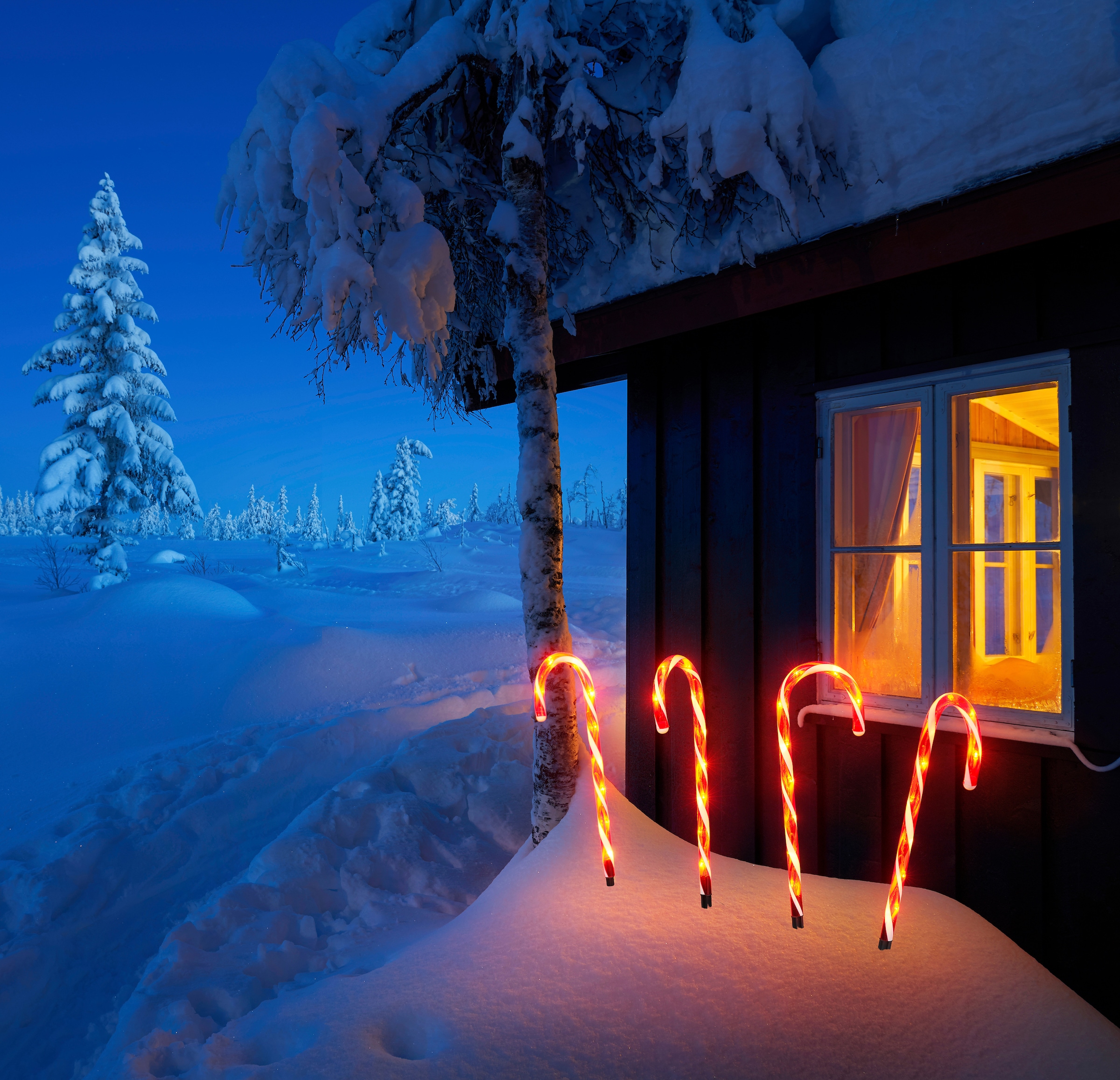 IC Winterworld LED Gartenleuchte »Weihnachtsdeko rot«, Gartenstecker,  Zuckerstangen-Design, mit Timerfunktion online kaufen