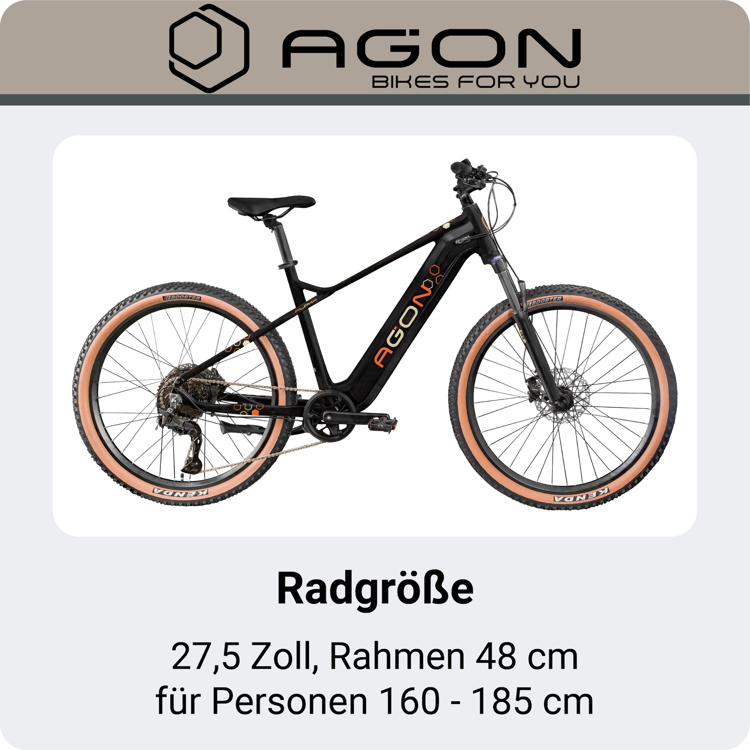 AGON »Alpha« 10 Gang Shimano Deore SGS T6000 Schaltwerk Kettenschaltung Heckmotor 250 W E Bike Mountainbike Herren oder Damen 160 - 185 cm