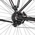FISCHER Fahrrad E-Bike »VIATOR 6.0i Herren 504«, 10 Gang, (mit Akku-Ladegerät-mit Werkzeug)