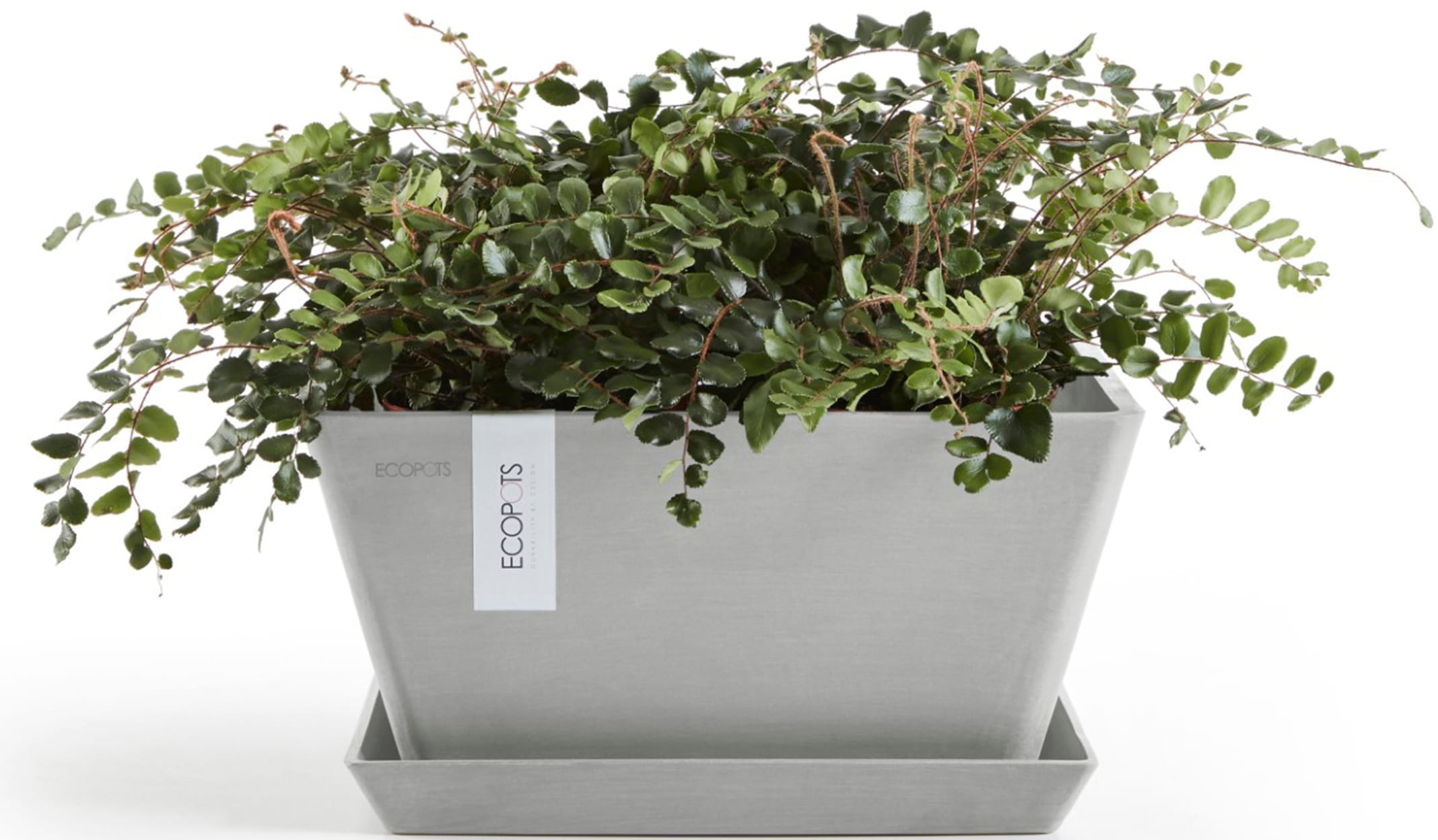 ECOPOTS Blumentopf »Berlin 40 Weißgrau«, für innen und außen: frostsicher, bruchsicher und lichtbeständig