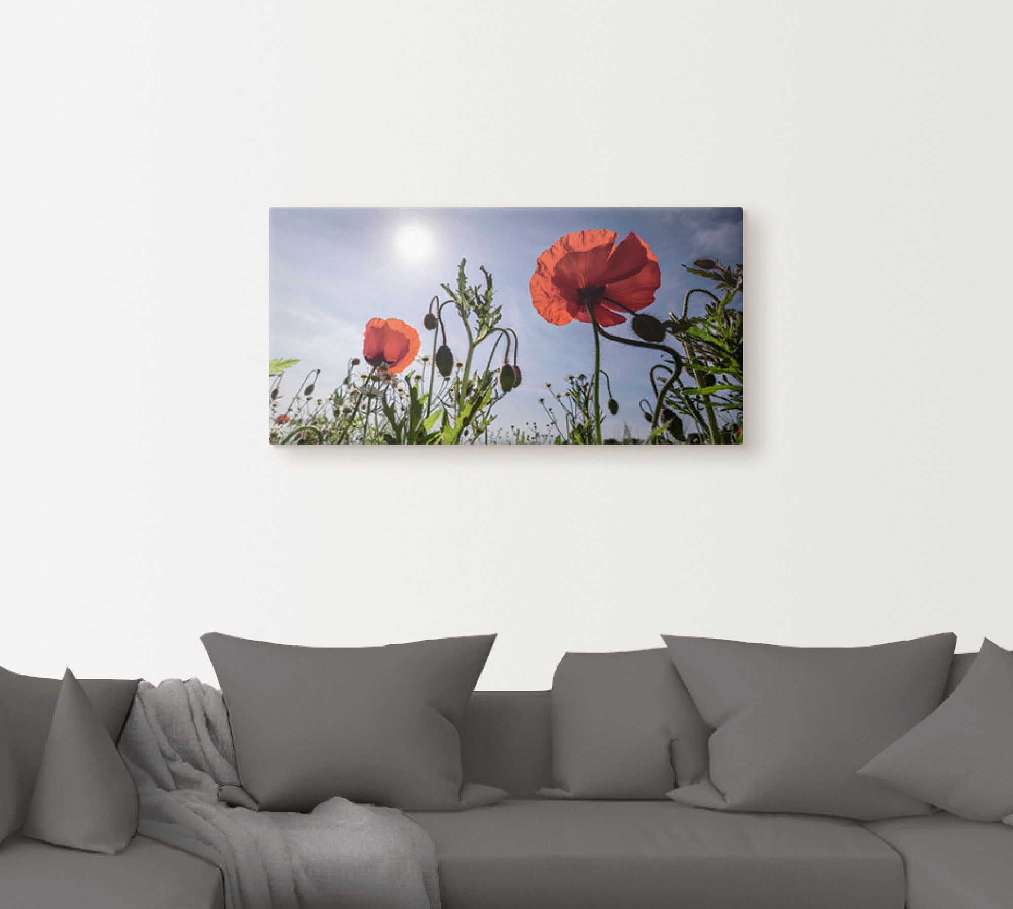 Artland Wandbild »Mohnblumen im Frühling«, Blumenwiese, (1 St.), als Alubil günstig online kaufen