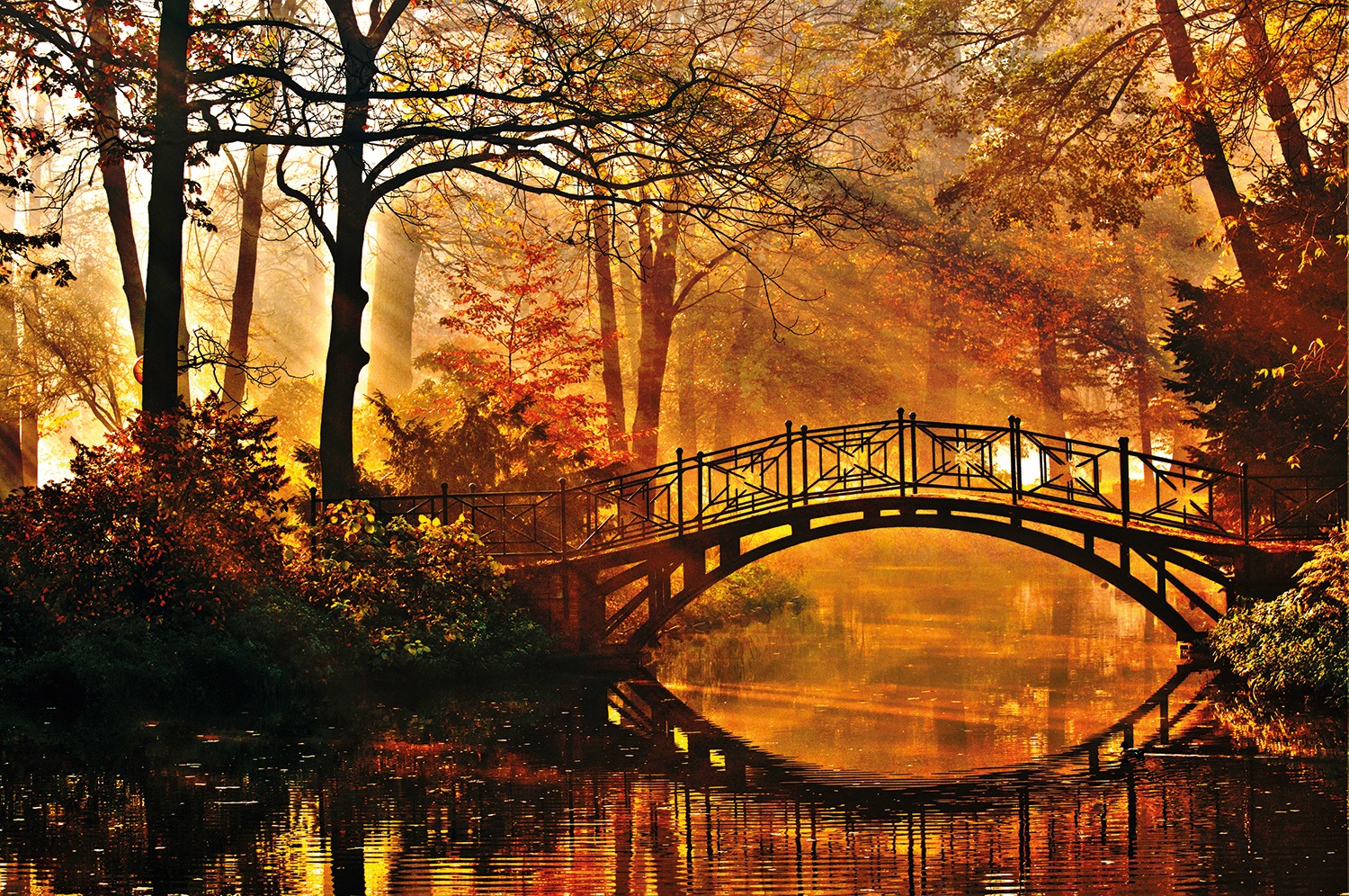 Papermoon Fototapete »Misty Park Bridge« glatt günstig online kaufen