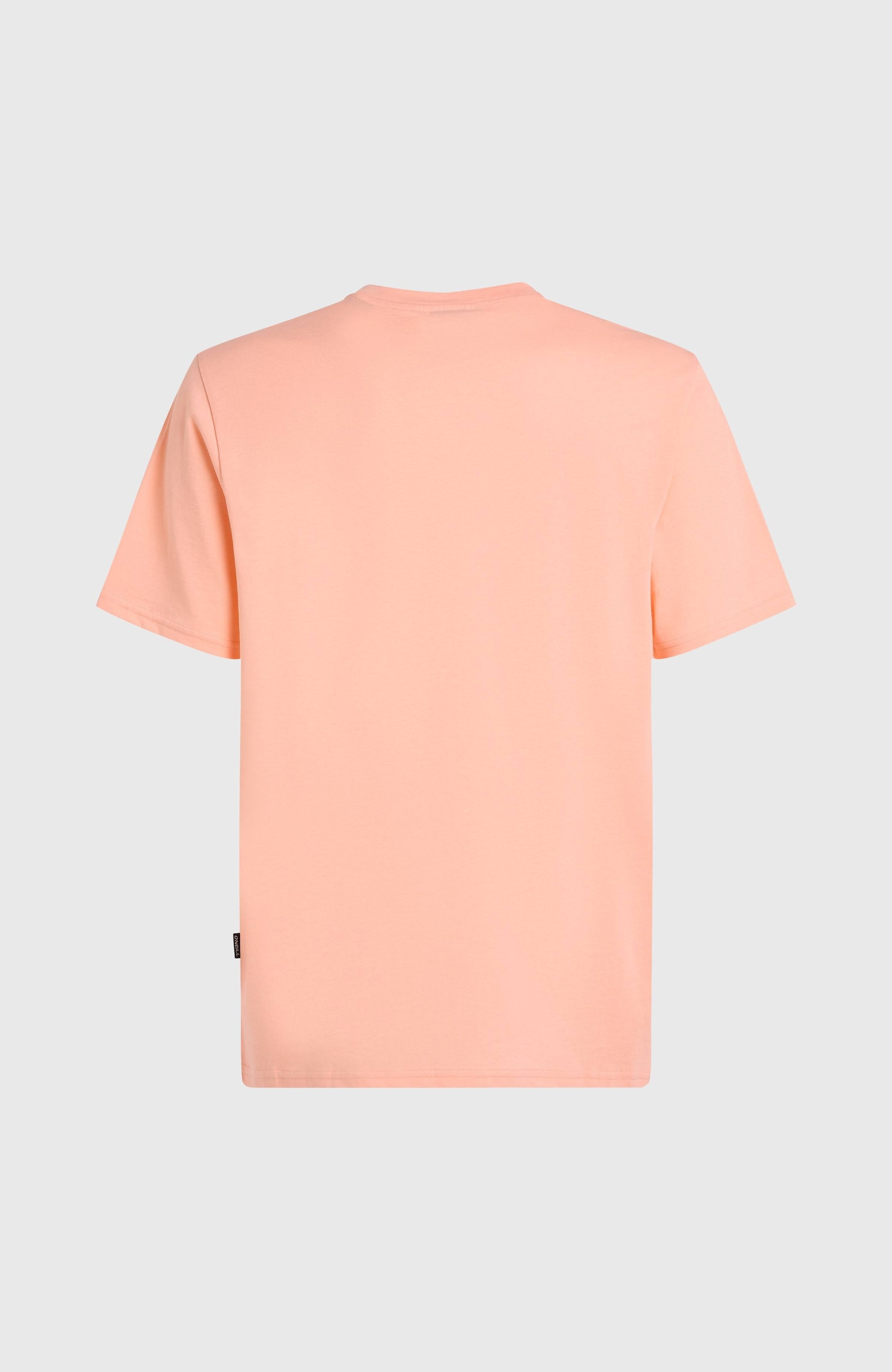 O'Neill T-Shirt »JACK O'NEILL MUIR T-SHIRT«