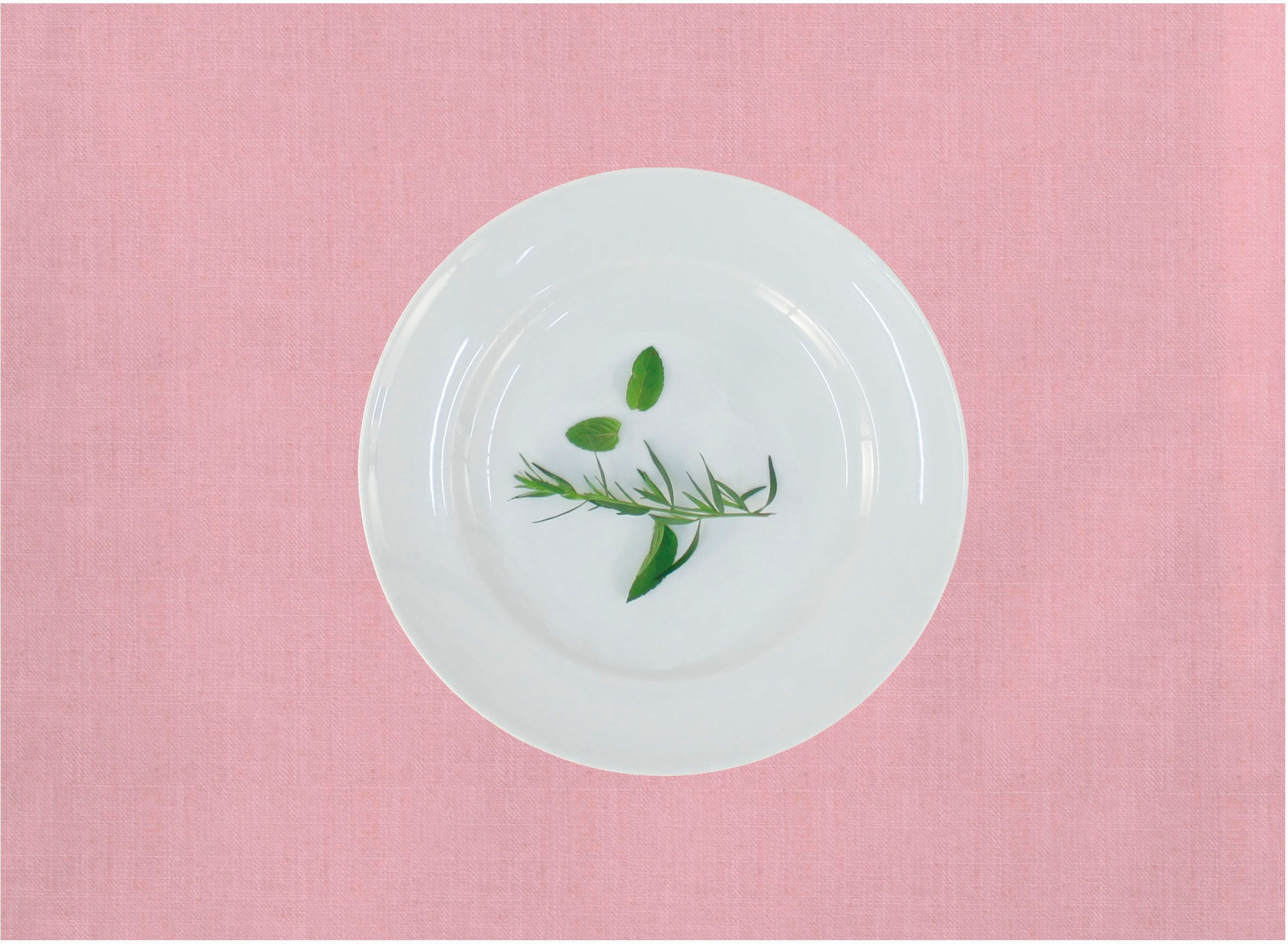 APELT Platzset »Arizona, Uni-Basic« Leinenoptik günstig online kaufen