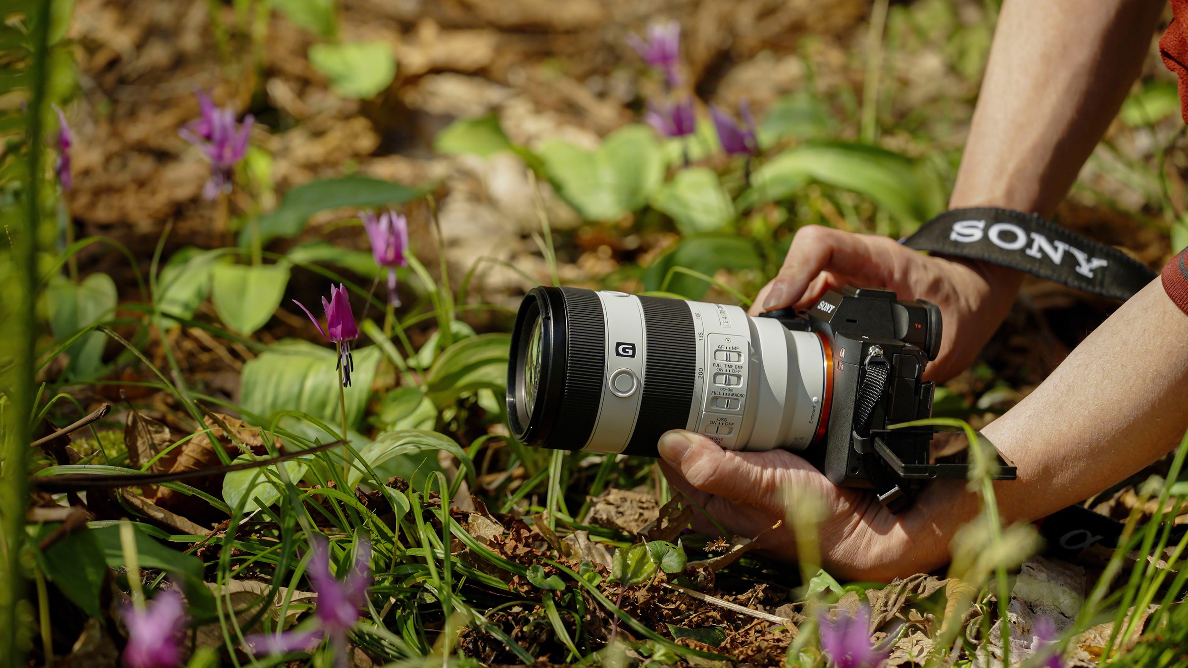 Sony Mikrofon »Shotgun ECM-M1«