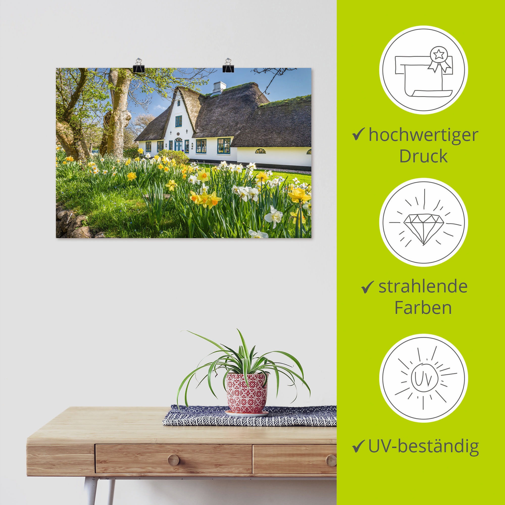 Artland Wandbild »Reetdachhaus auf Sylt im Frühling«, Gebäude, (1 St.), als Alubild, Leinwandbild, Wandaufkleber oder Poster in versch. Größen