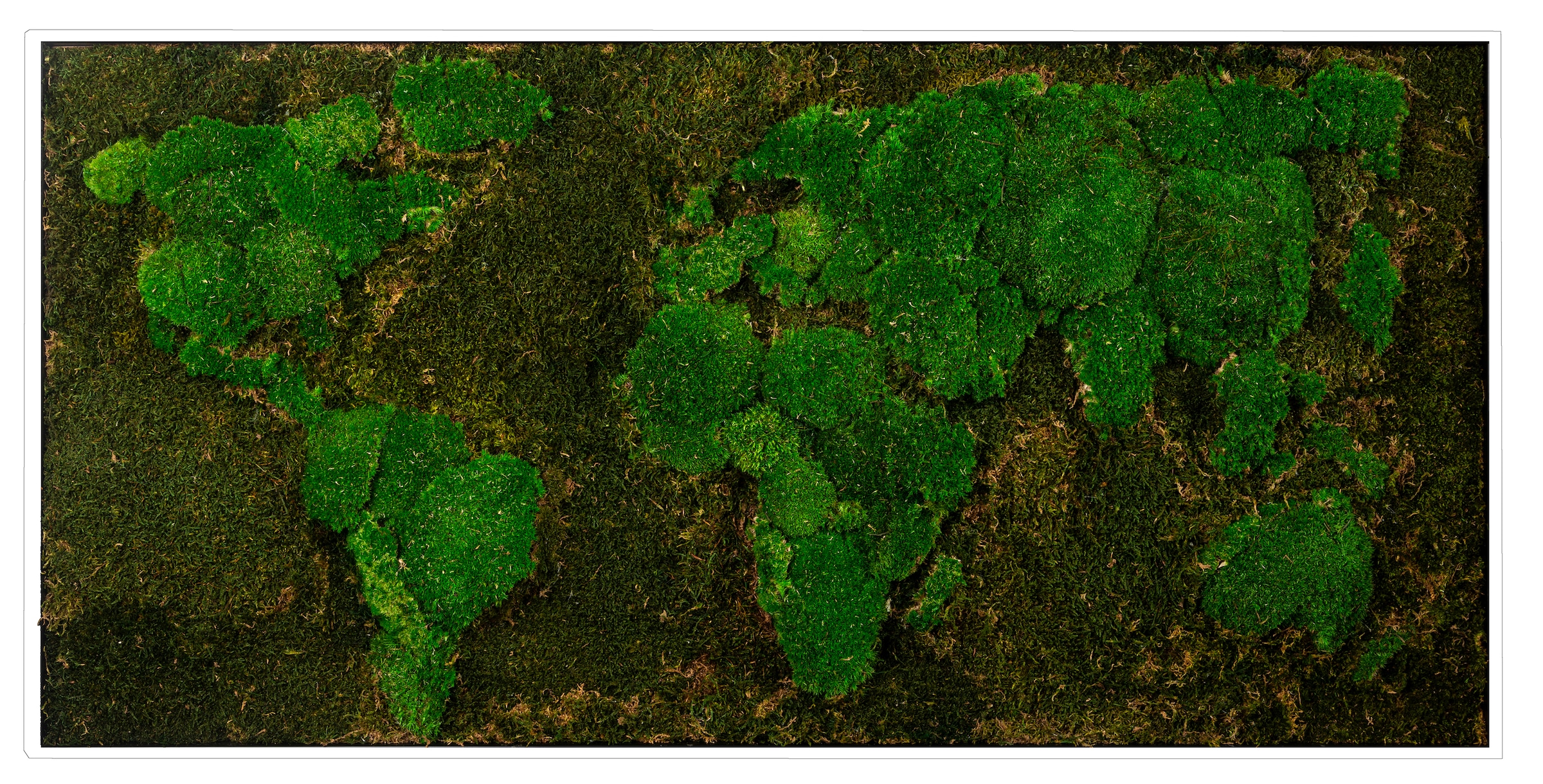 Bönninghoff Bild mit Rahmen »Moos« Weltkarte 1 Stk. tlg. jedes Bild ein Uni günstig online kaufen