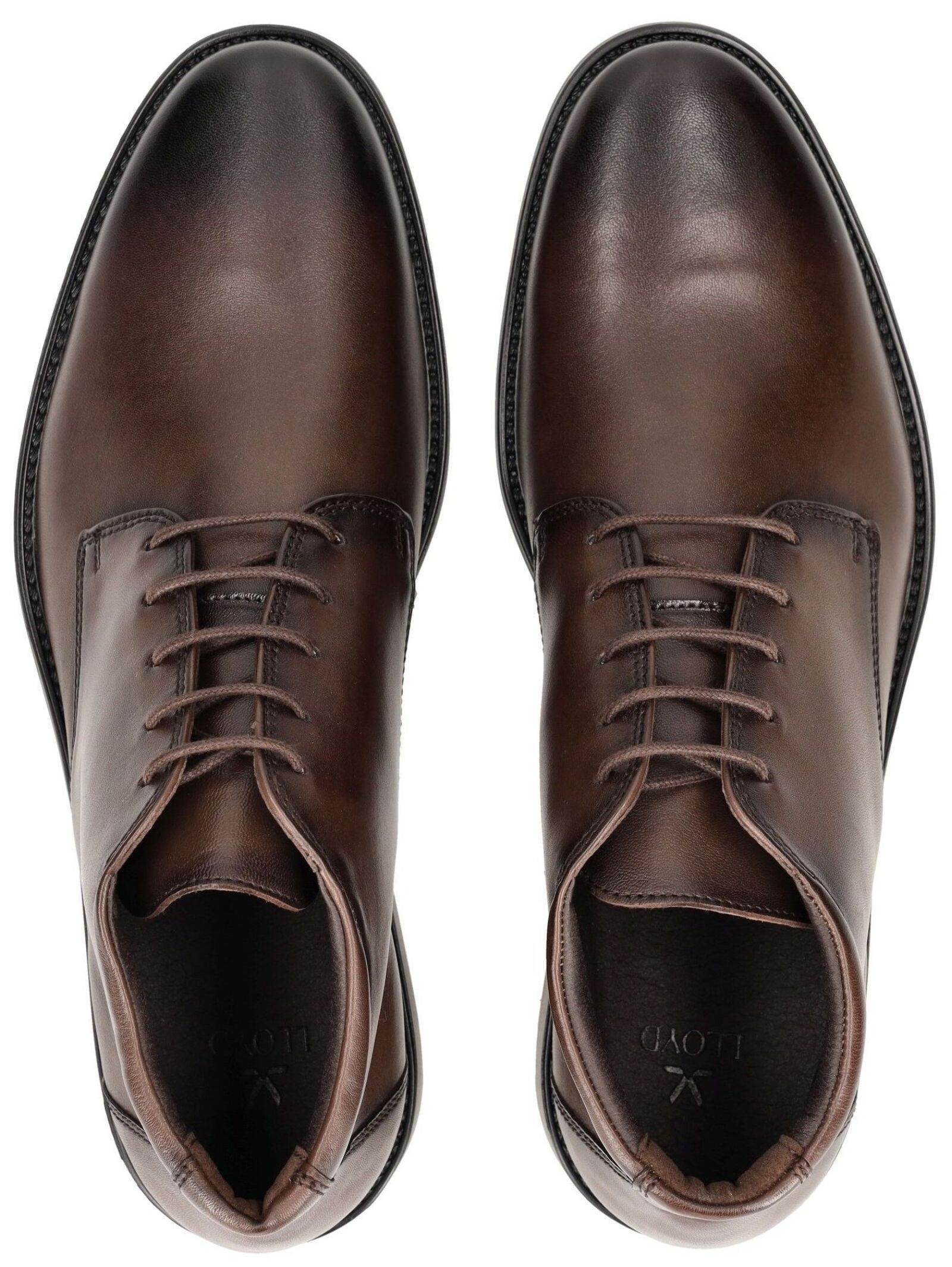 Lloyd Schnürschuh »LLOYD Businessschuhe Glattleder«