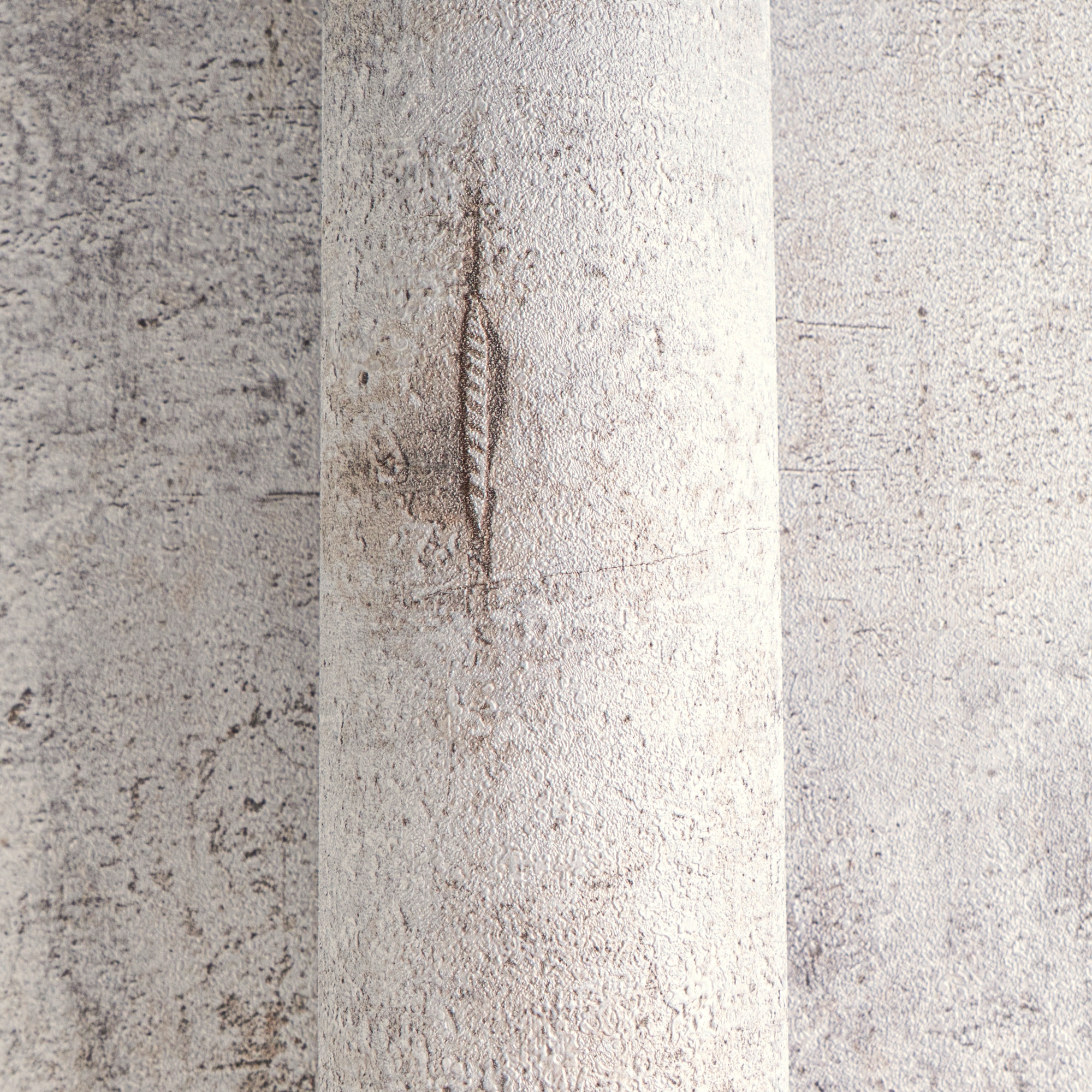 CosmoLiving by Cosmopolitan Vliestapete »Graphite Groove-Edge Betonoptiktapete« matt strukturiert Betonoptik mit modernem Industrial-Charme