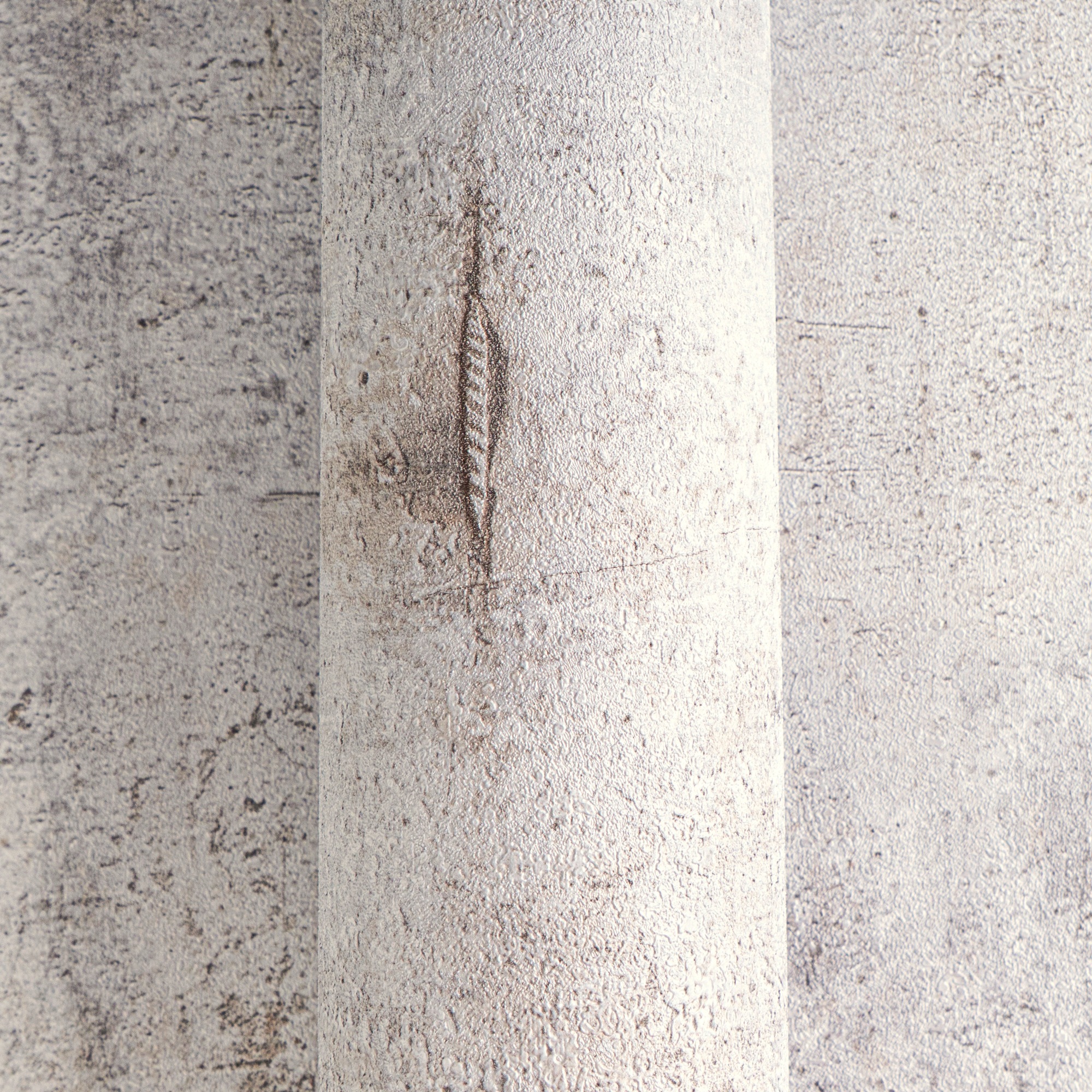 CosmoLiving by Cosmopolitan Vliestapete »Graphite Groove-Edge Betonoptiktap günstig online kaufen