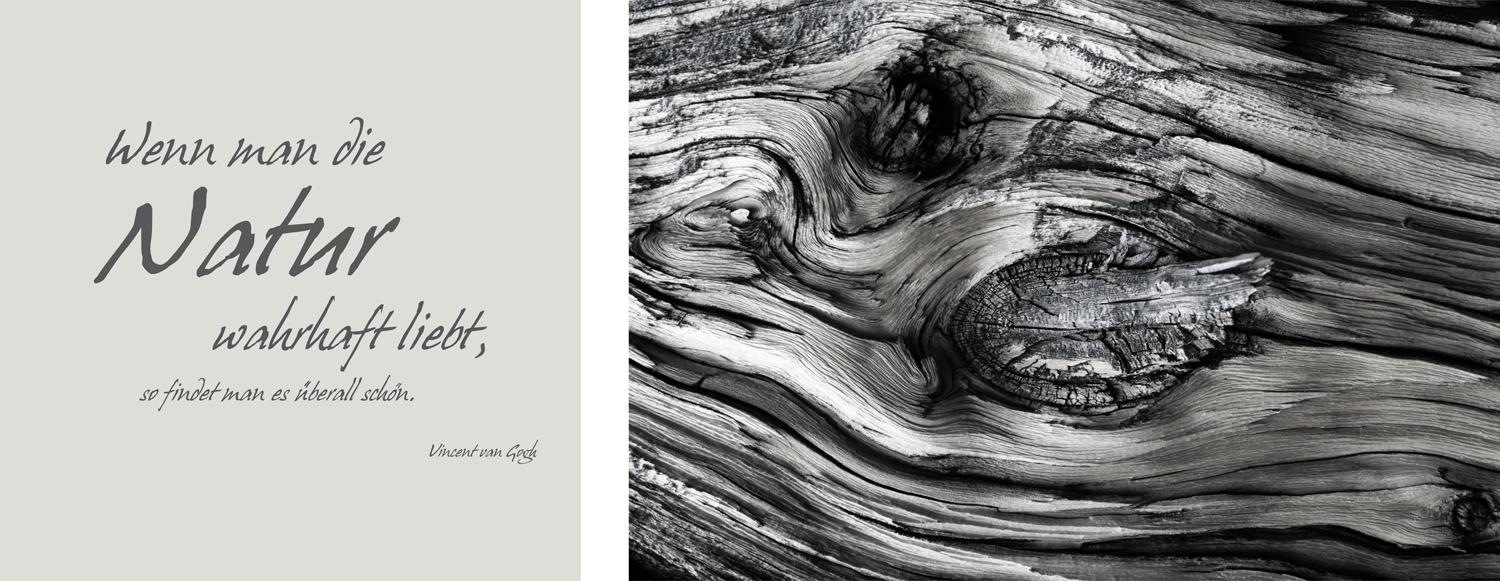 queence Leinwandbild »Natur«, Baum-Baumbilder-Kunst-Modern-Spa-Spa Bilder-S günstig online kaufen