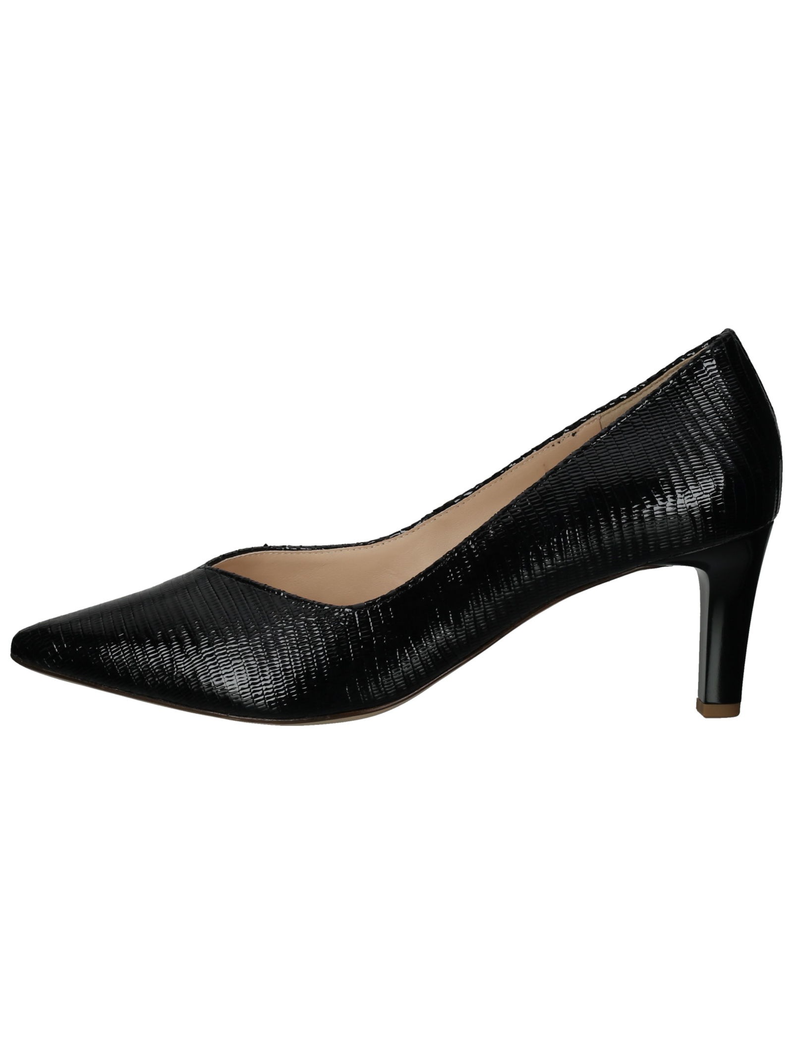 Högl Pumps »Högl Pumps Leder«