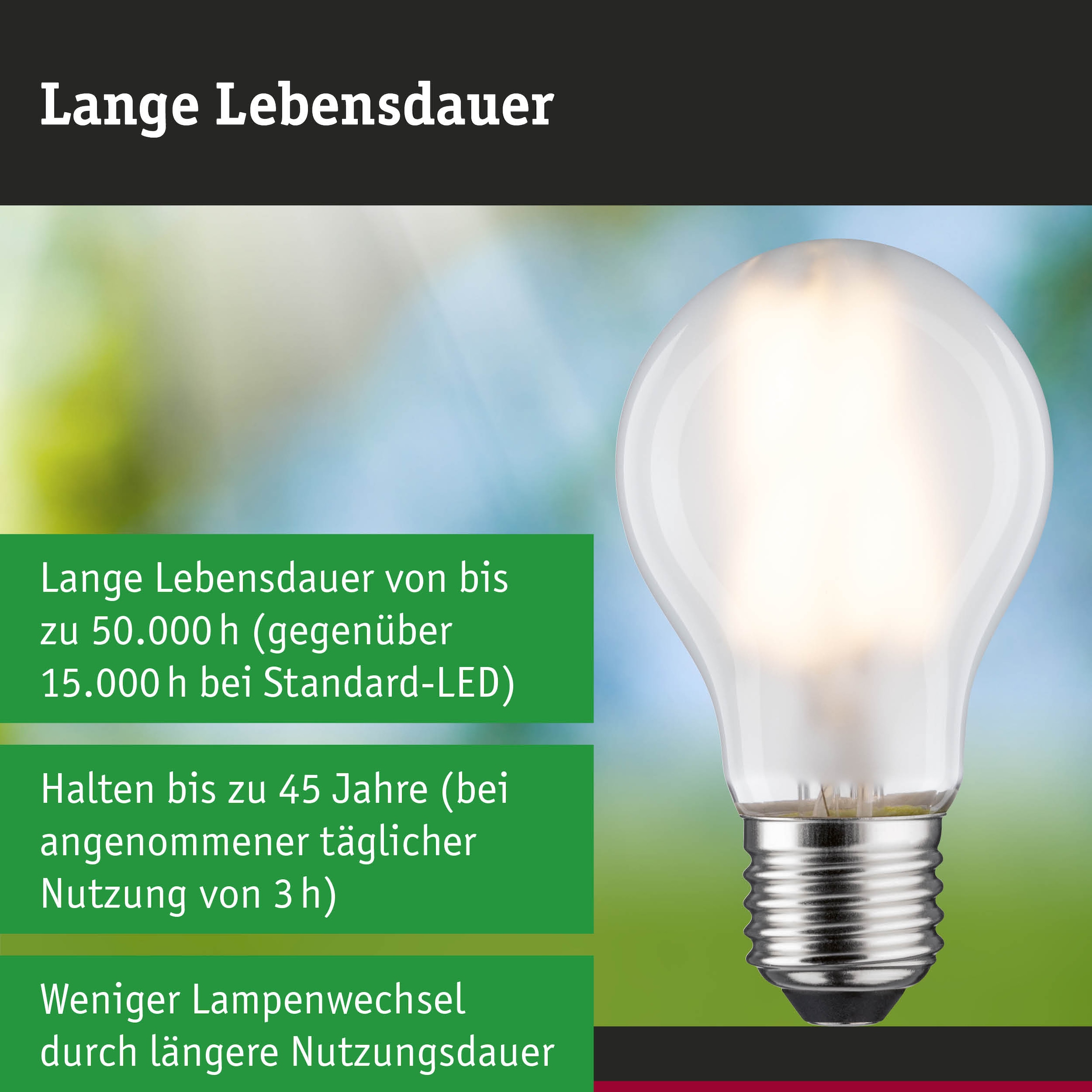 Paulmann LED-Leuchtmittel »Efficient-Line Filament 230V LED Birne E27 1 St. 525lm 2,5W 3000K Matt« E27 1 Stk. Warmweiß