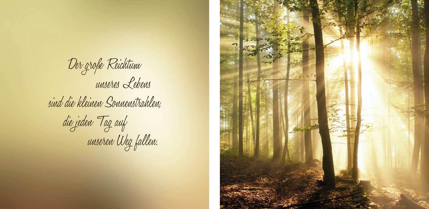 queence Leinwandbild »Sonnenstrahlen«, Wald-Waldbilder-Sonnenaufgang-Himmel günstig online kaufen