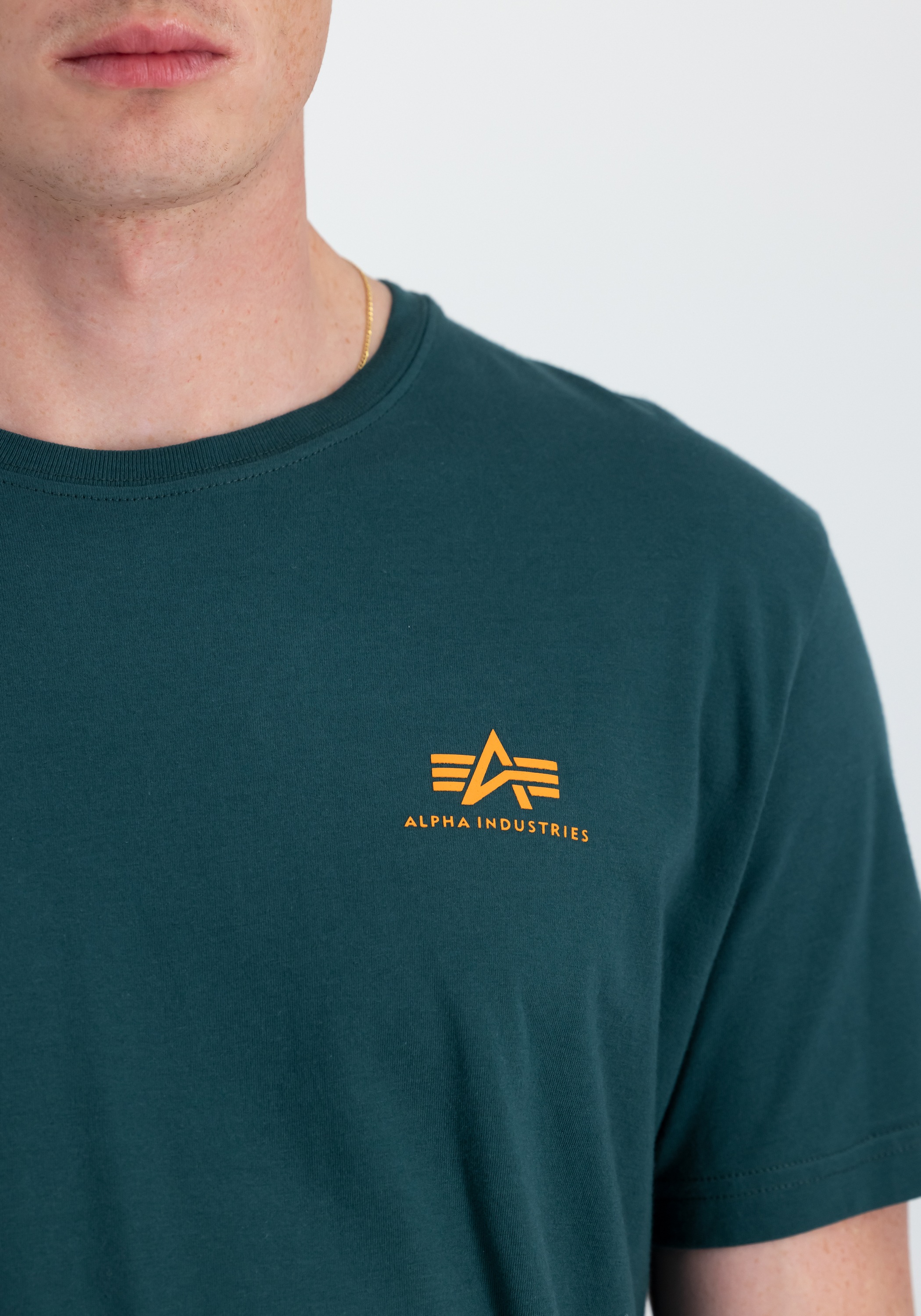 Alpha Industries T-Shirt »Backprint T-Shirt T-Shirt«